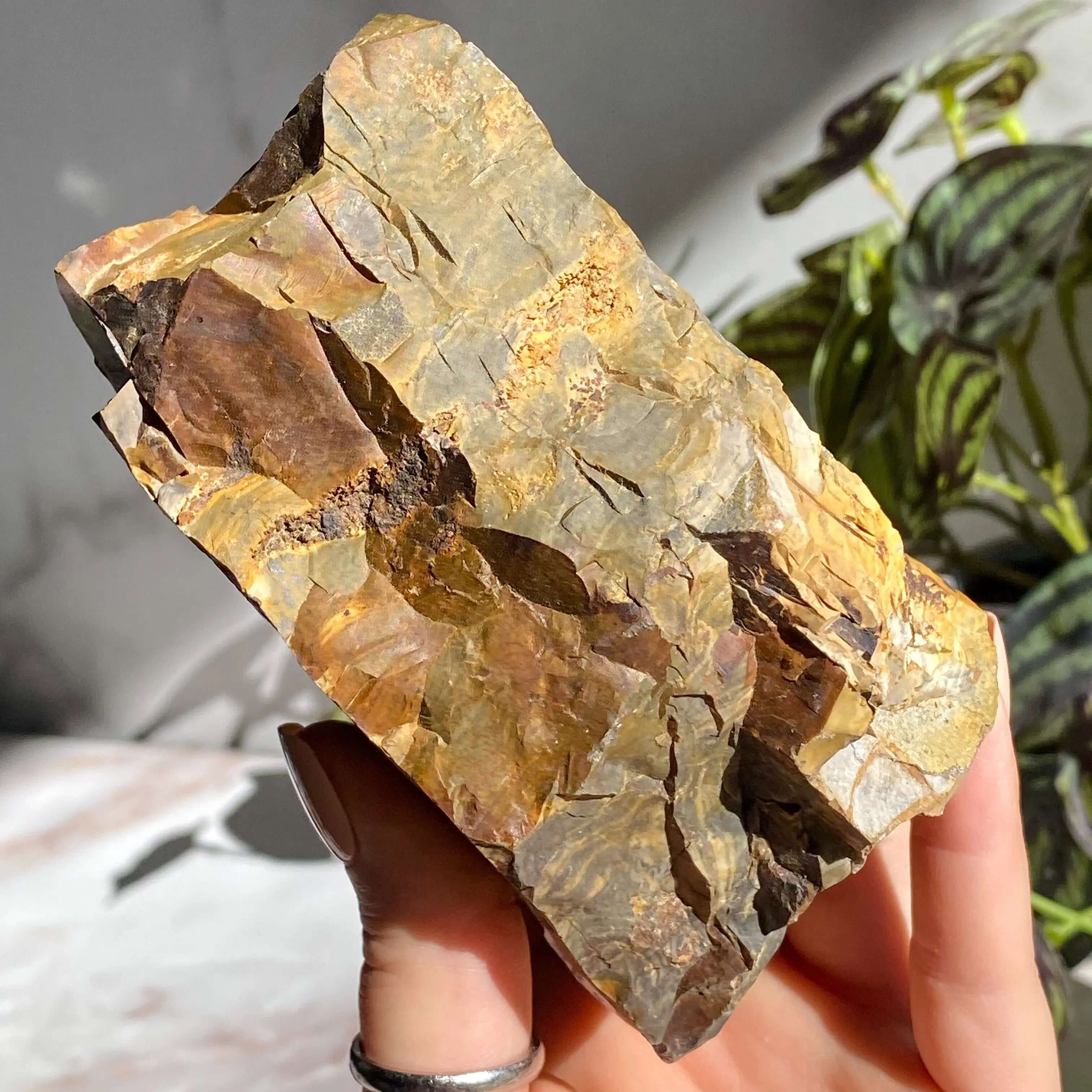 Ohio Flint | Stock P Mooncat Crystals