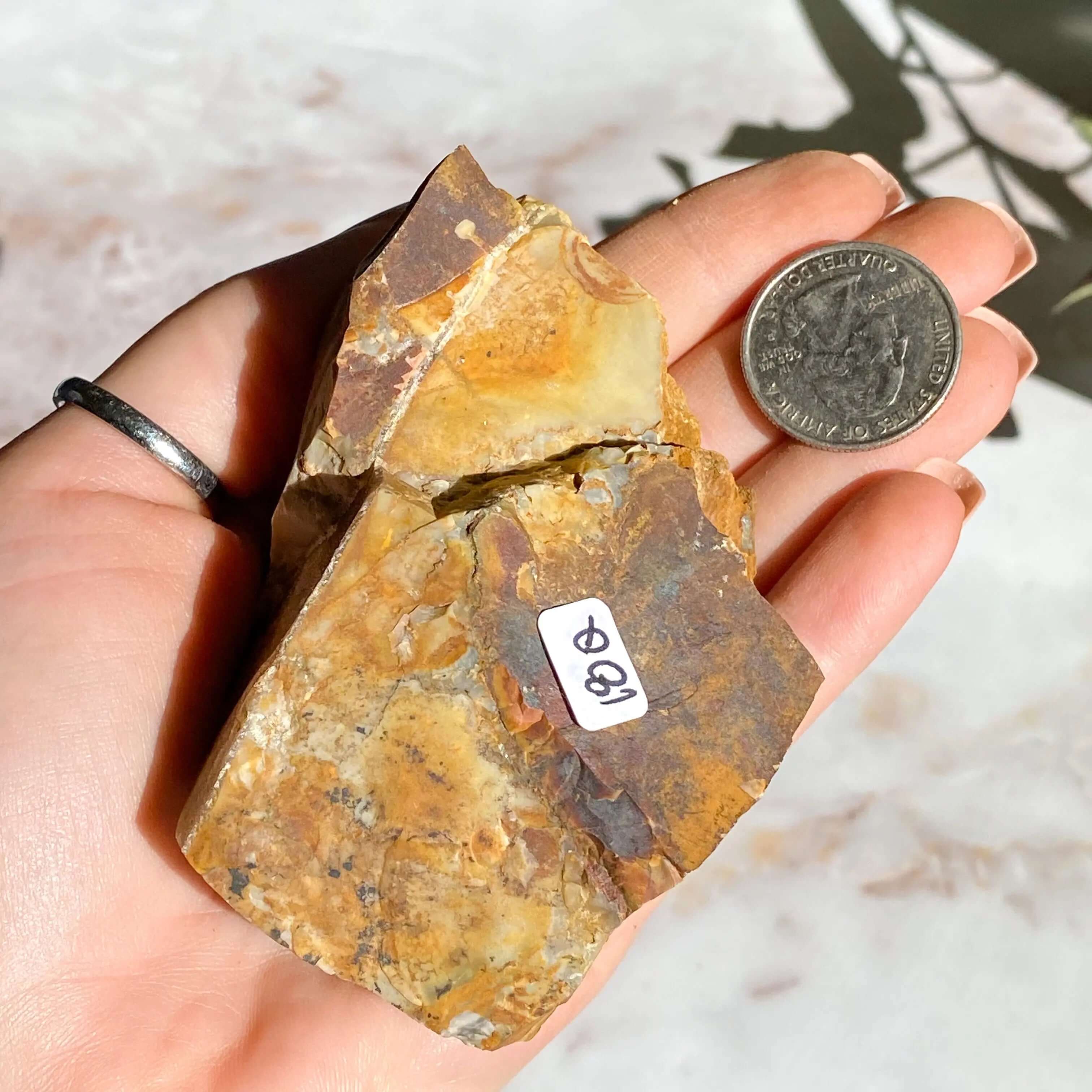 Ohio Flint | Stock Q Mooncat Crystals