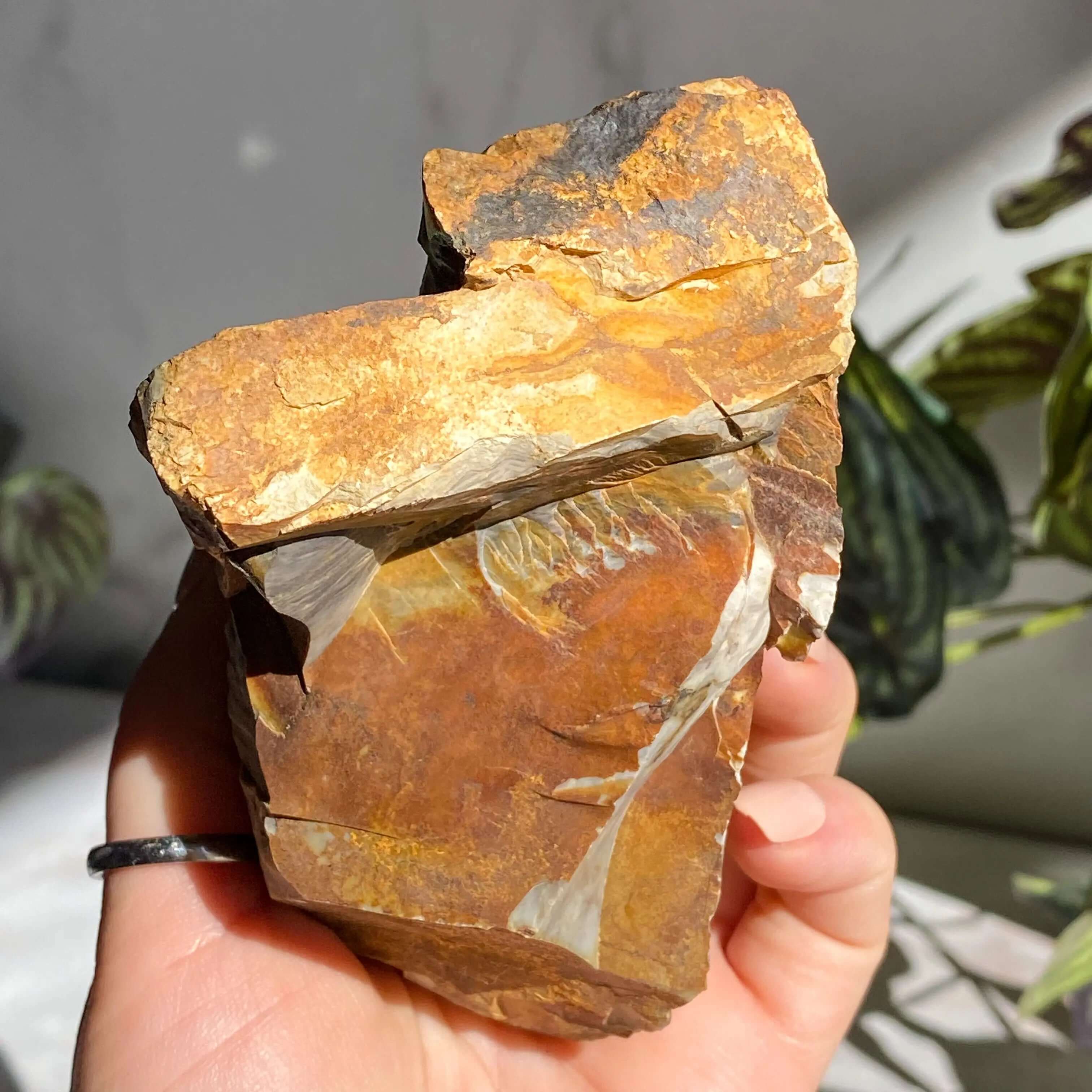 Ohio Flint | Stock R Mooncat Crystals