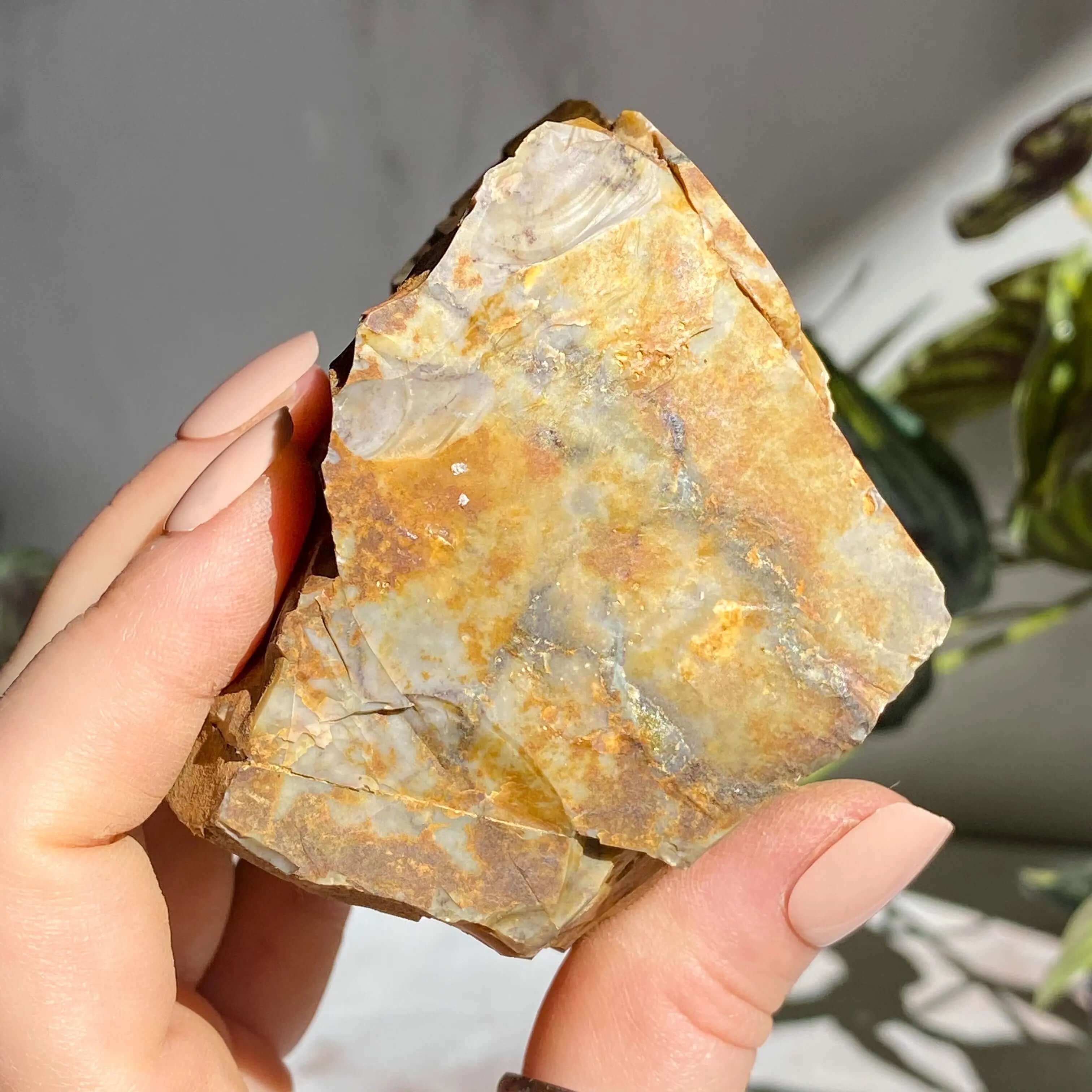 Ohio Flint | Stock R Mooncat Crystals