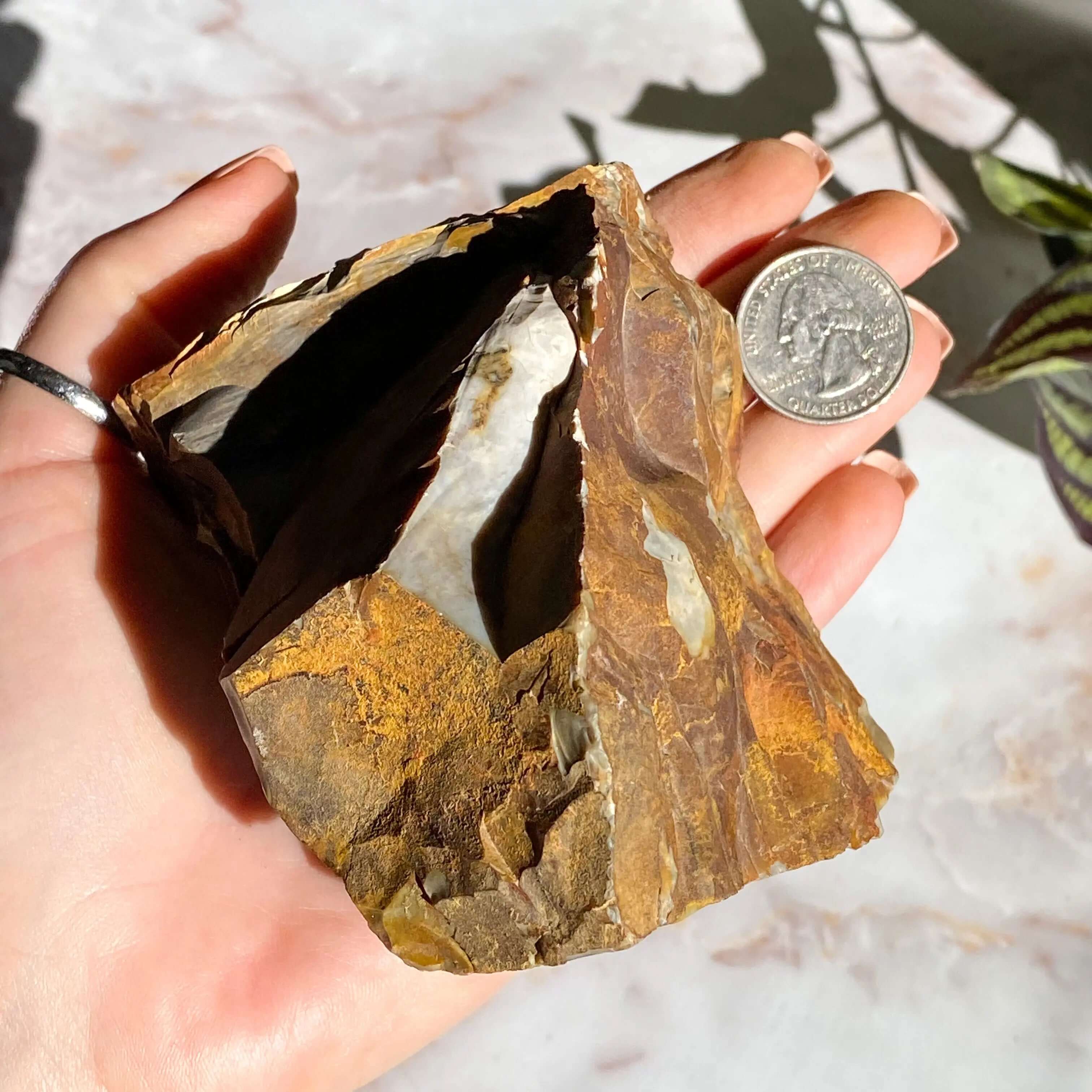 Ohio Flint | Stock R Mooncat Crystals