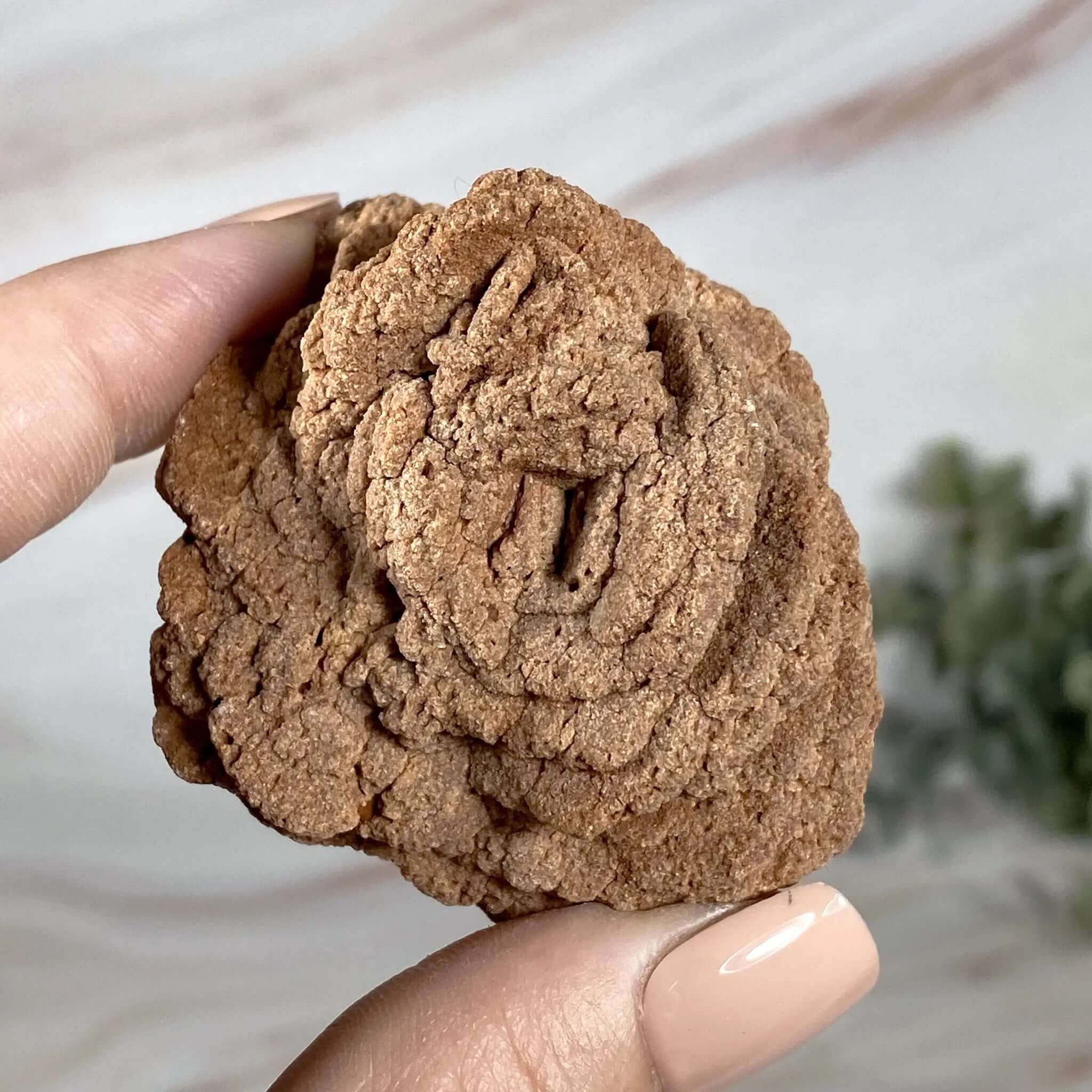 Oklahoma Barite Rose | Stock B Mooncat Crystals