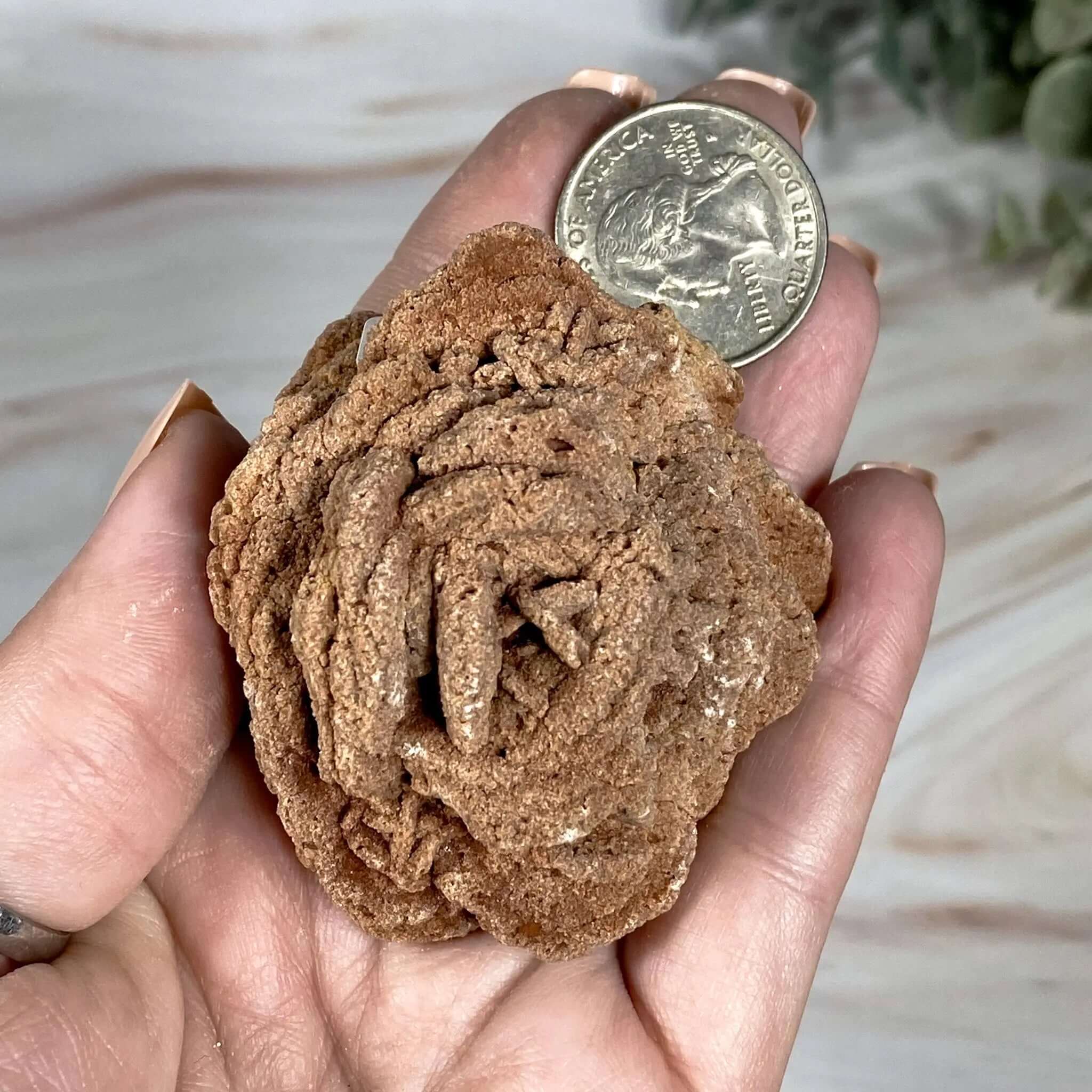 Oklahoma Barite Rose | Stock B Mooncat Crystals