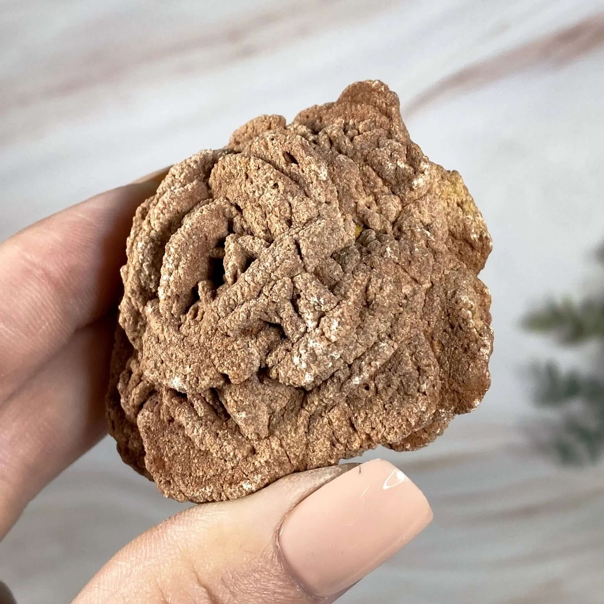 Oklahoma Barite Rose | Stock B Mooncat Crystals