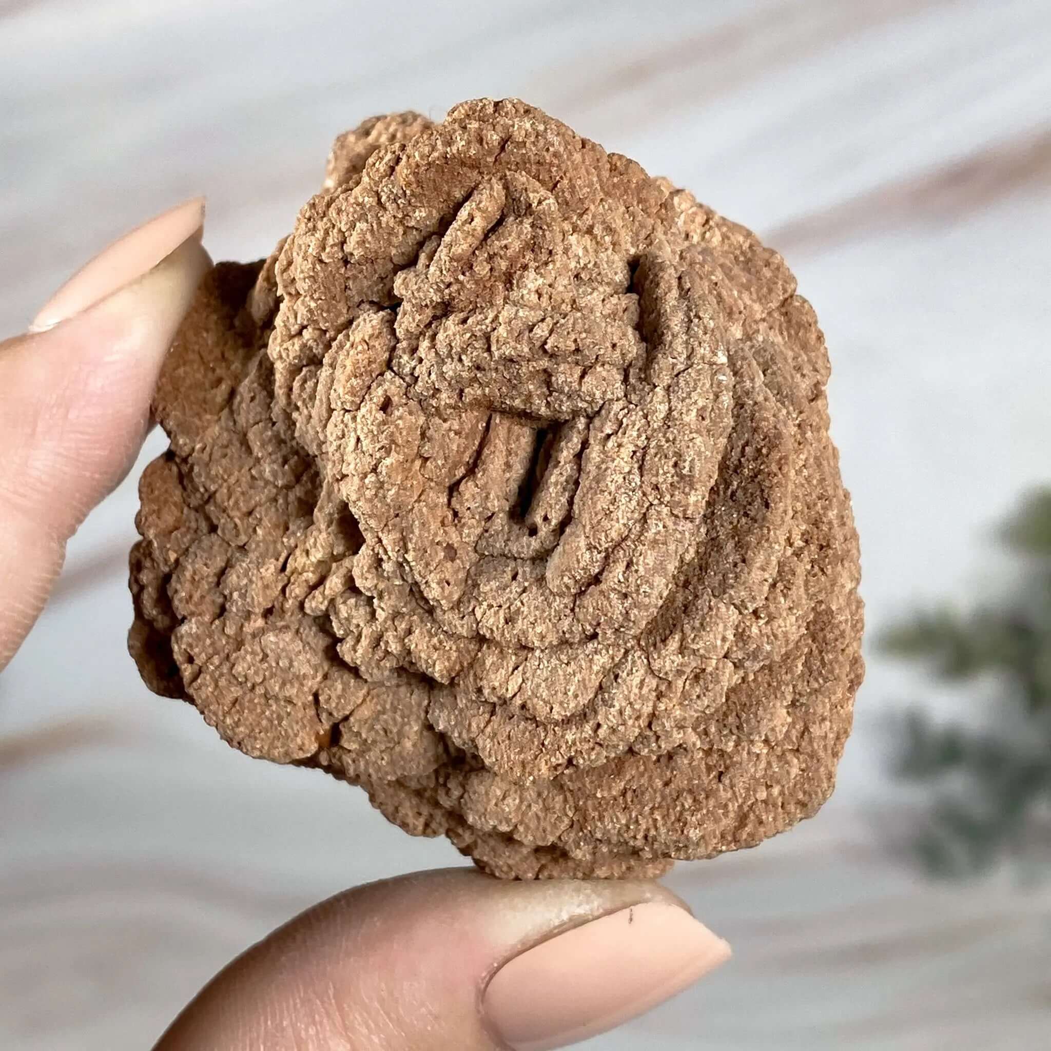 Oklahoma Barite Rose | Stock B Mooncat Crystals