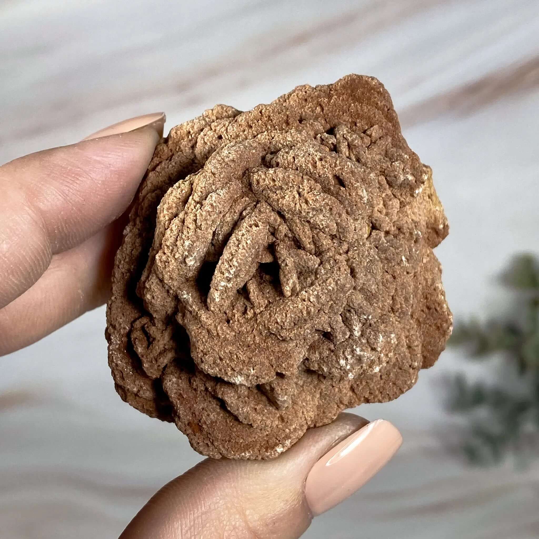 Oklahoma Barite Rose | Stock B Mooncat Crystals