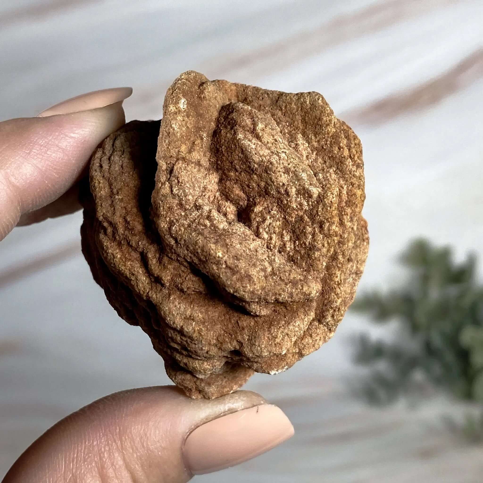 Oklahoma Barite Rose | Stock D Mooncat Crystals