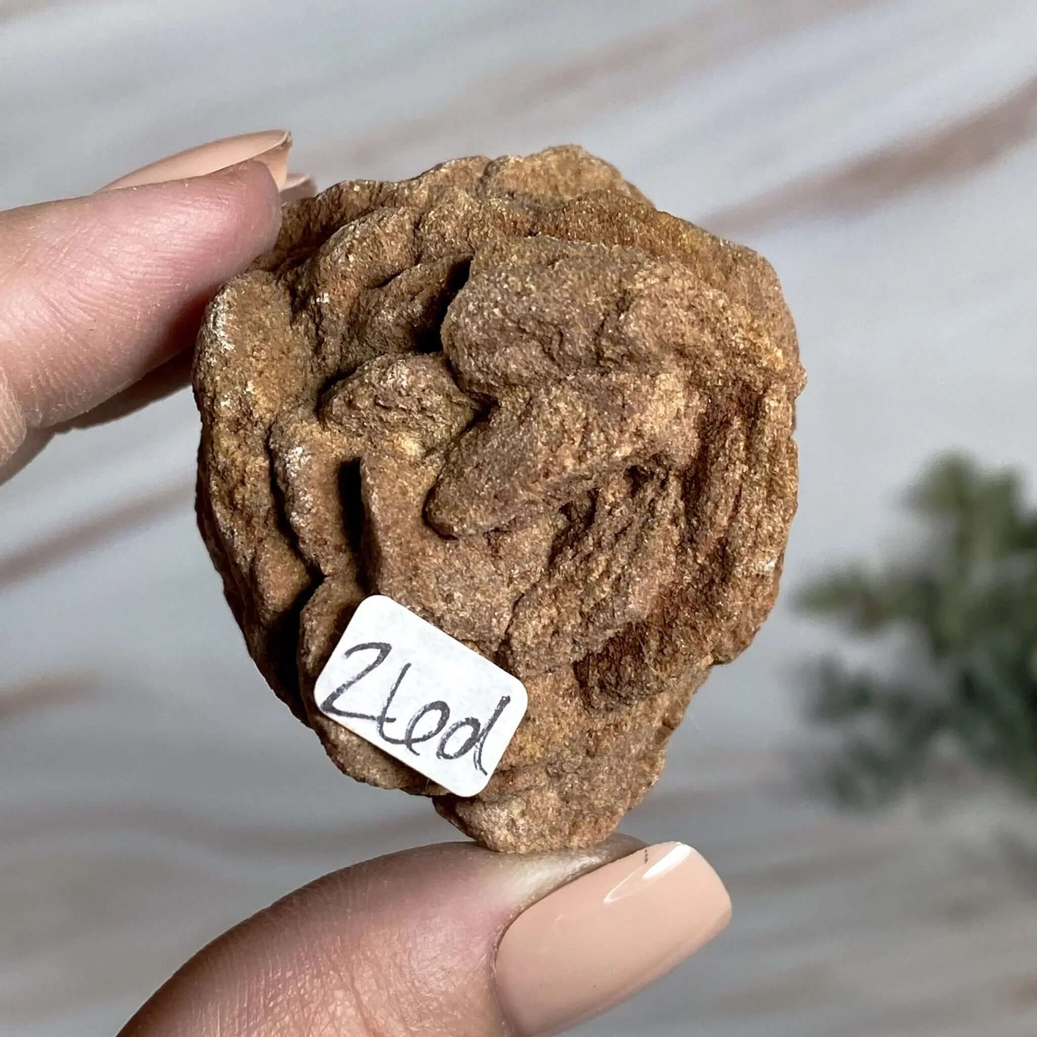 Oklahoma Barite Rose | Stock D Mooncat Crystals