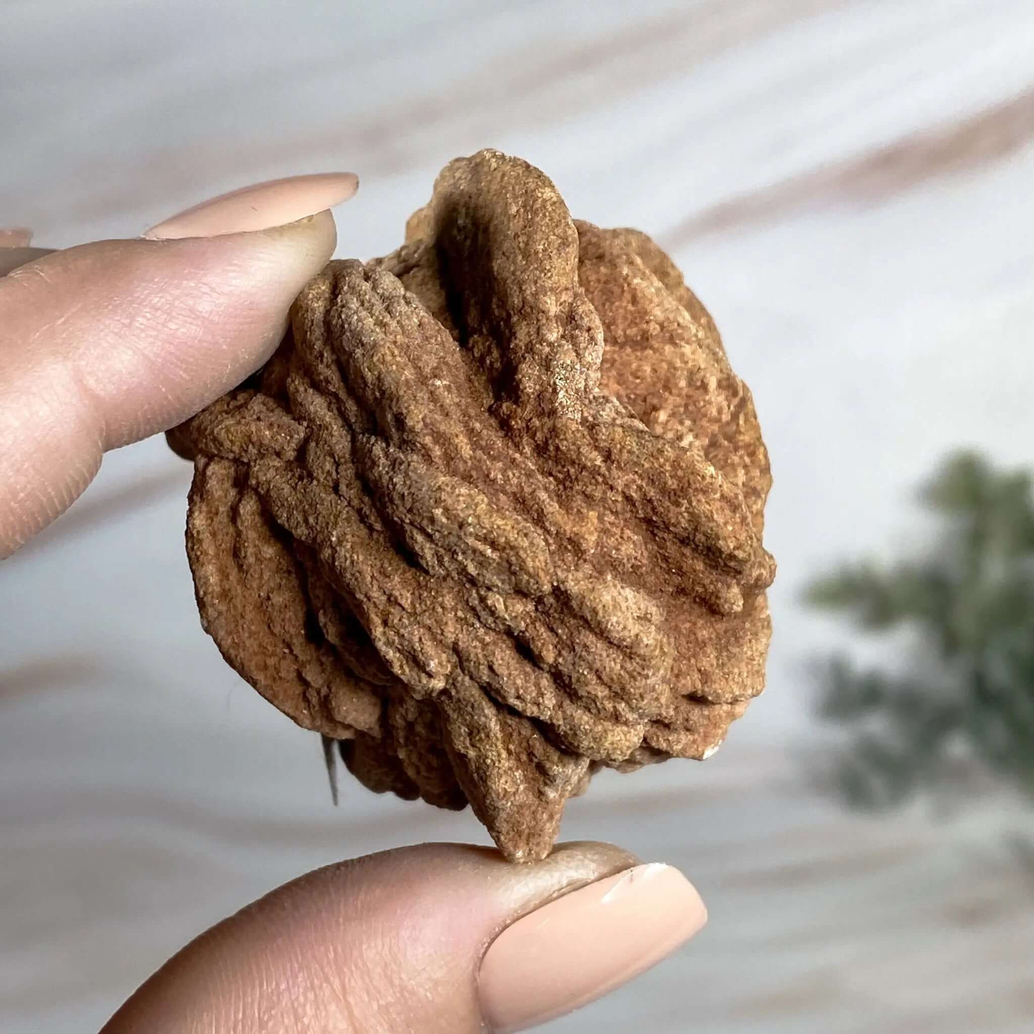 Oklahoma Barite Rose | Stock D Mooncat Crystals
