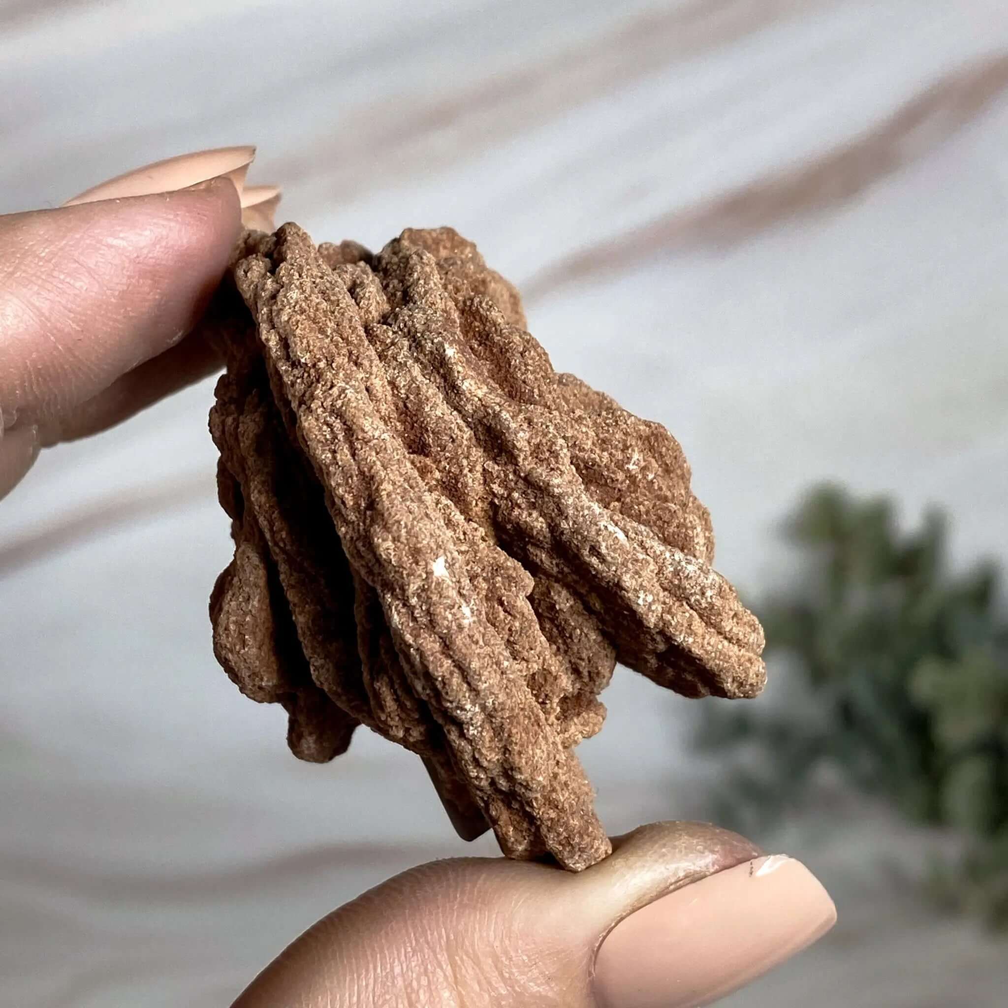 Oklahoma Barite Rose | Stock Mooncat Crystals