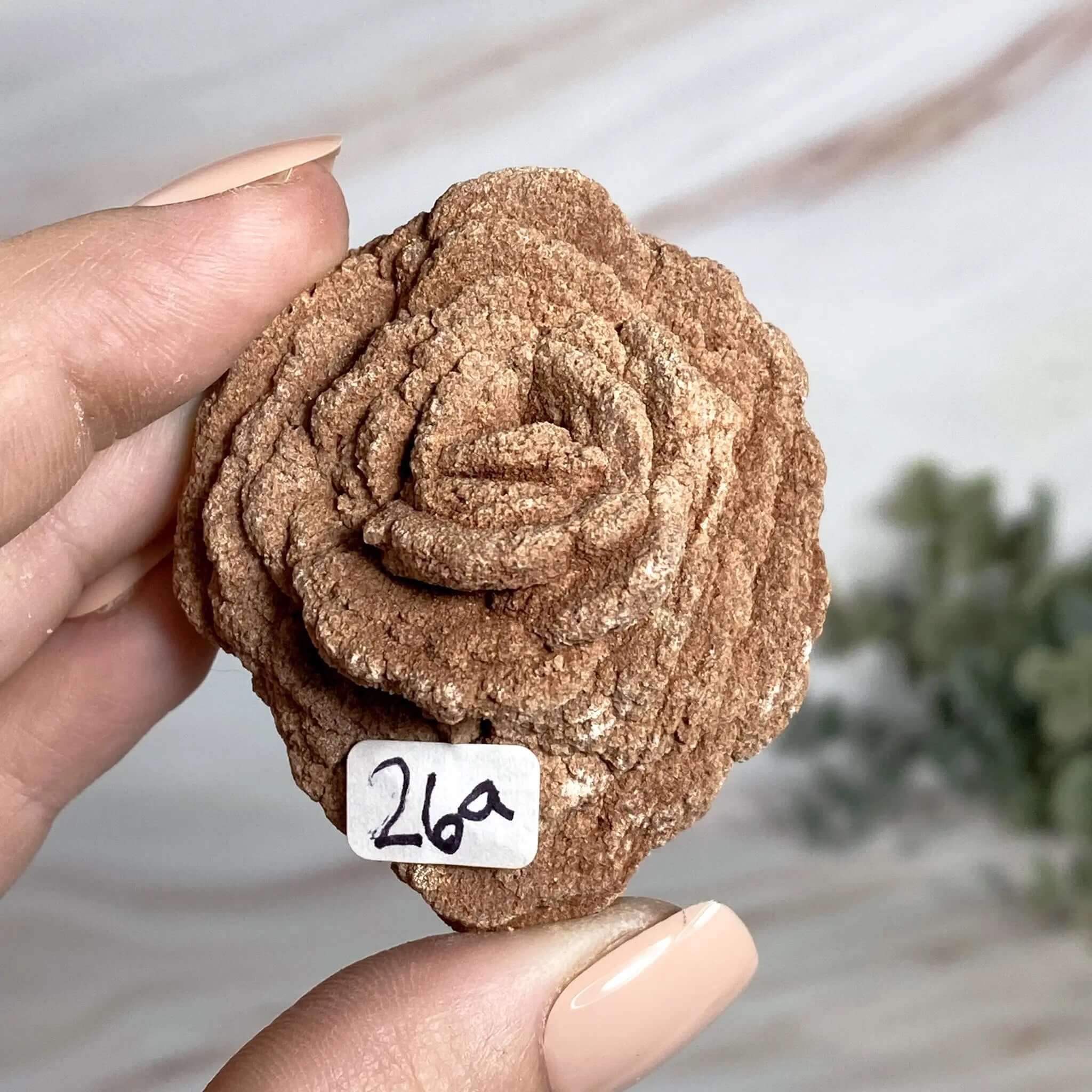 Oklahoma Barite Rose | Stock Mooncat Crystals