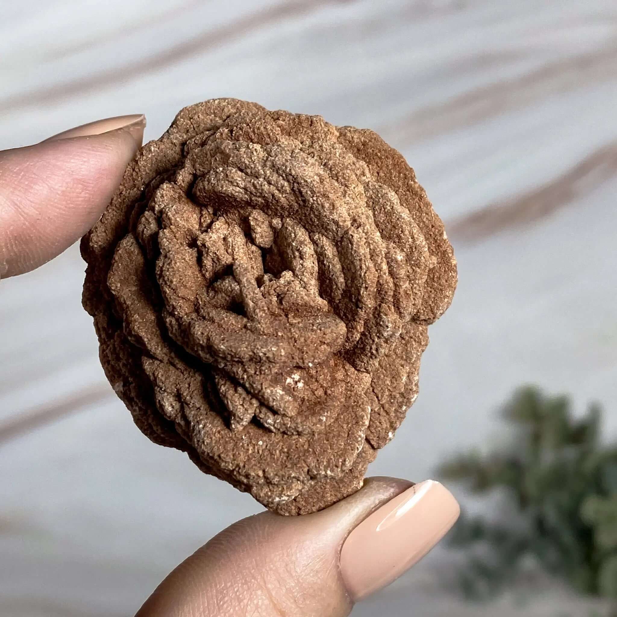 Oklahoma Barite Rose | Stock Mooncat Crystals