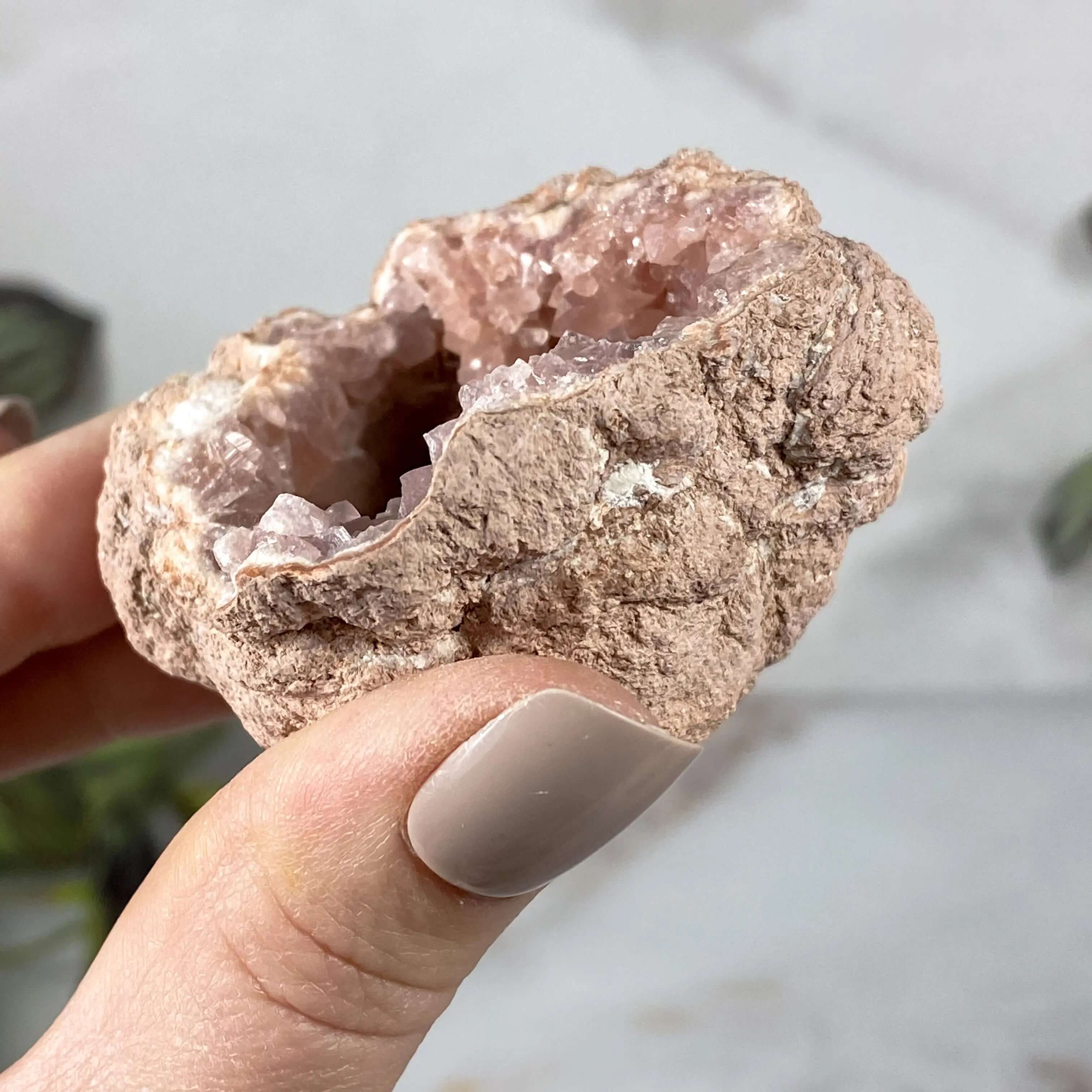 Pink Amethyst Geode | Stock L Mooncat Crystals