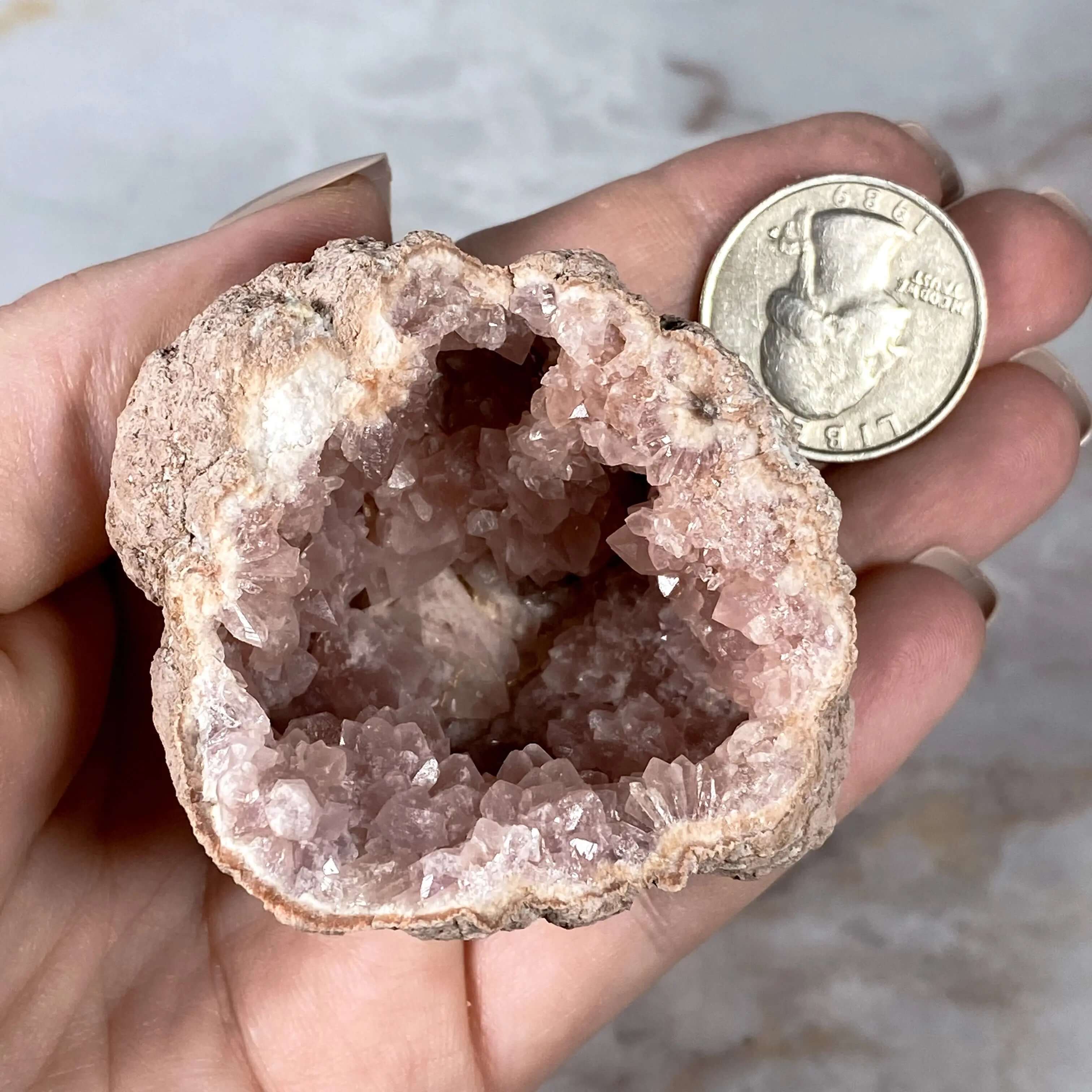 Pink Amethyst Geode | Stock L Mooncat Crystals
