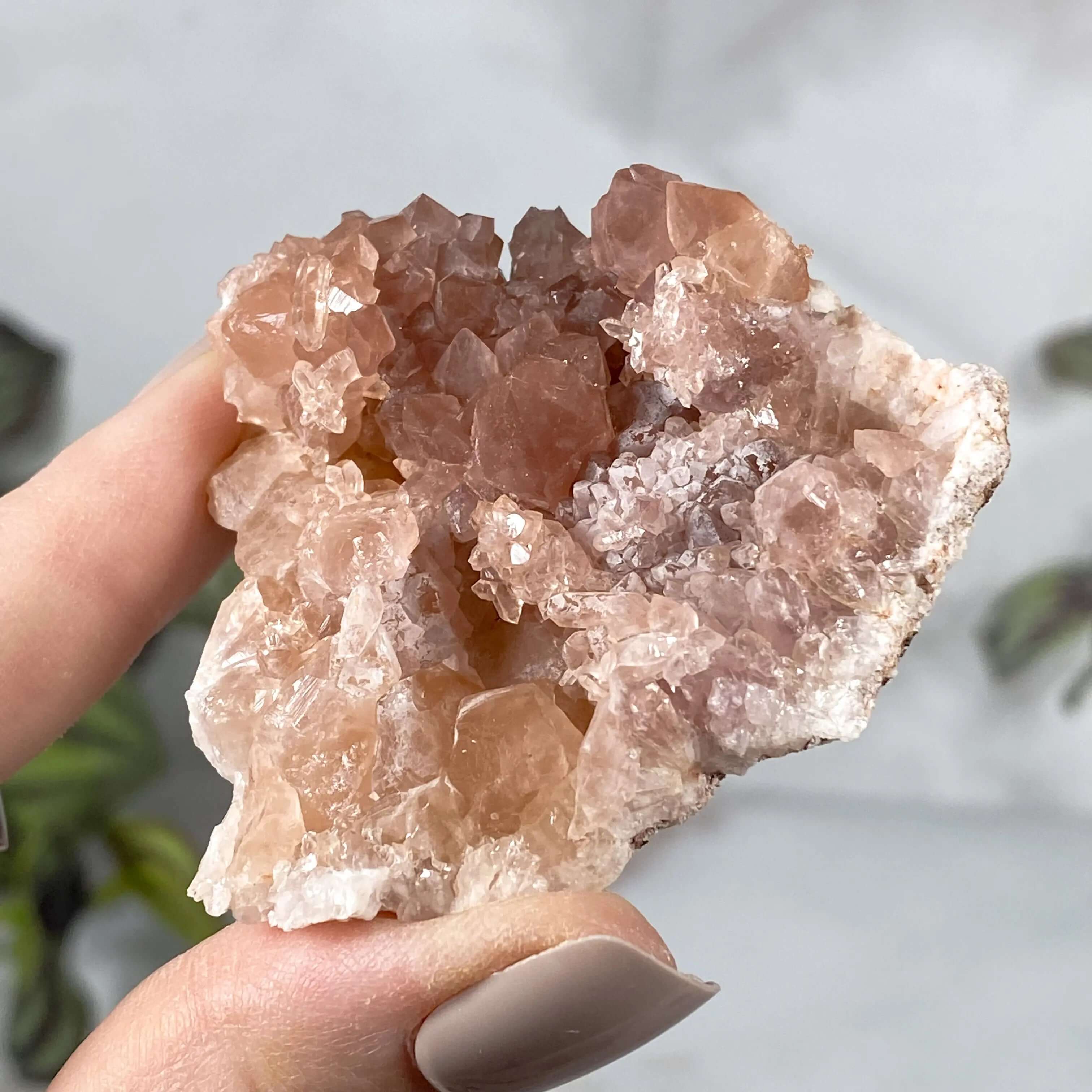 Pink Amethyst Geode | Stock M Mooncat Crystals
