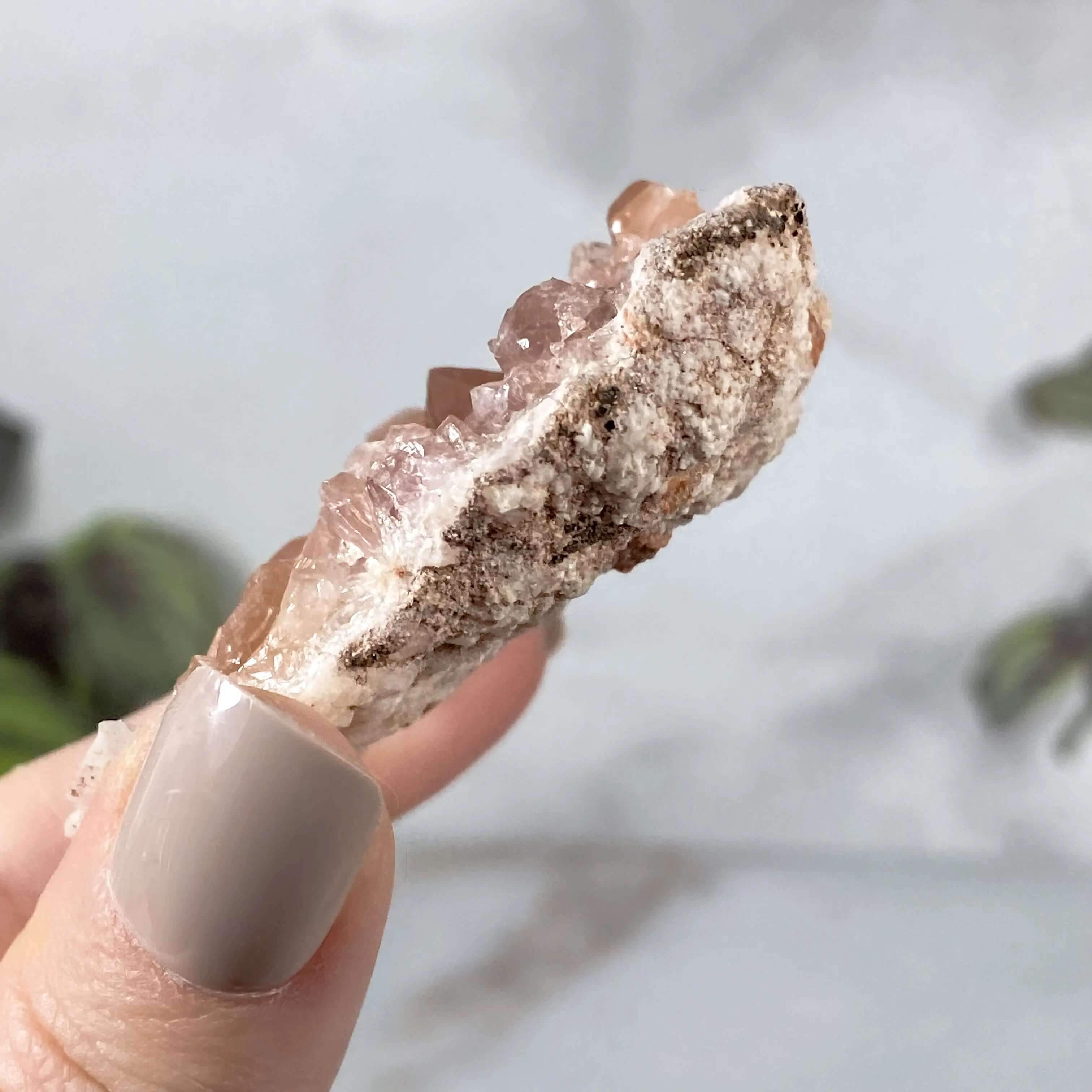 Pink Amethyst Geode | Stock M Mooncat Crystals