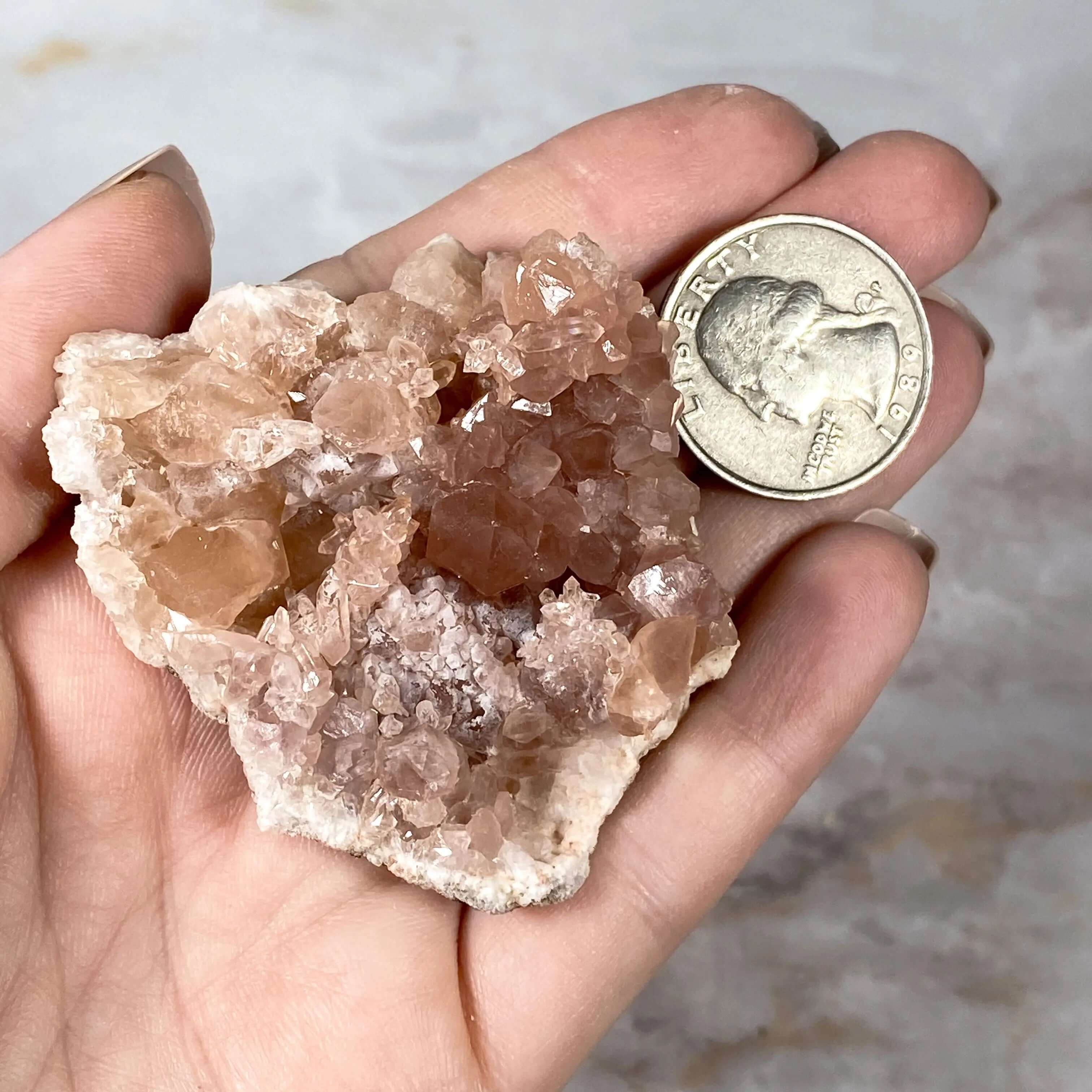 Pink Amethyst Geode | Stock M Mooncat Crystals