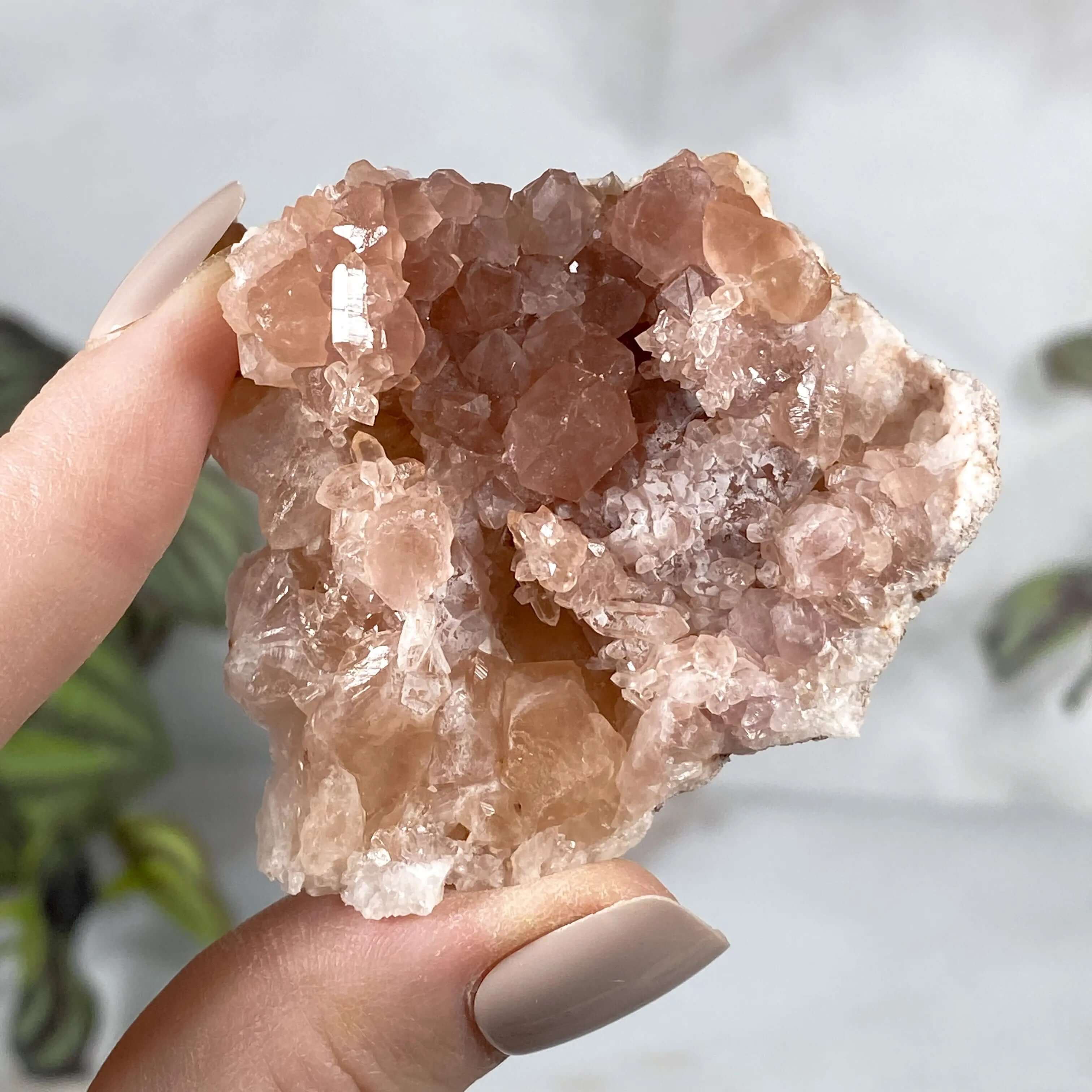 Pink Amethyst Geode | Stock M Mooncat Crystals