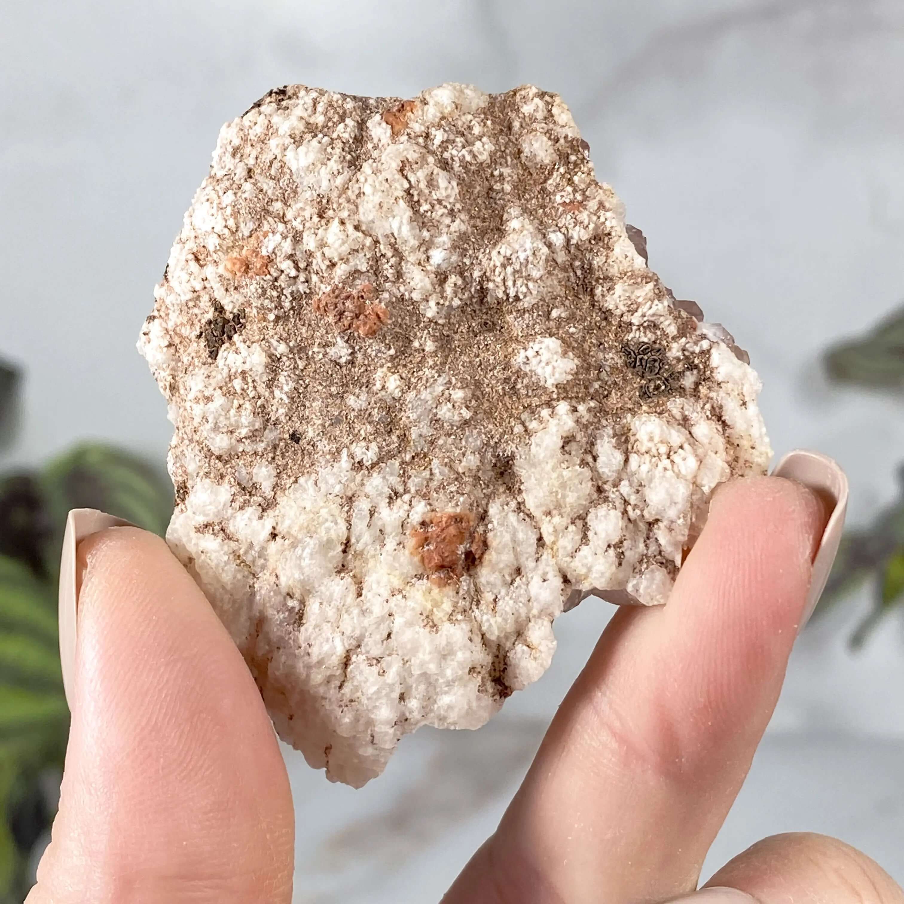 Pink Amethyst Geode | Stock M Mooncat Crystals