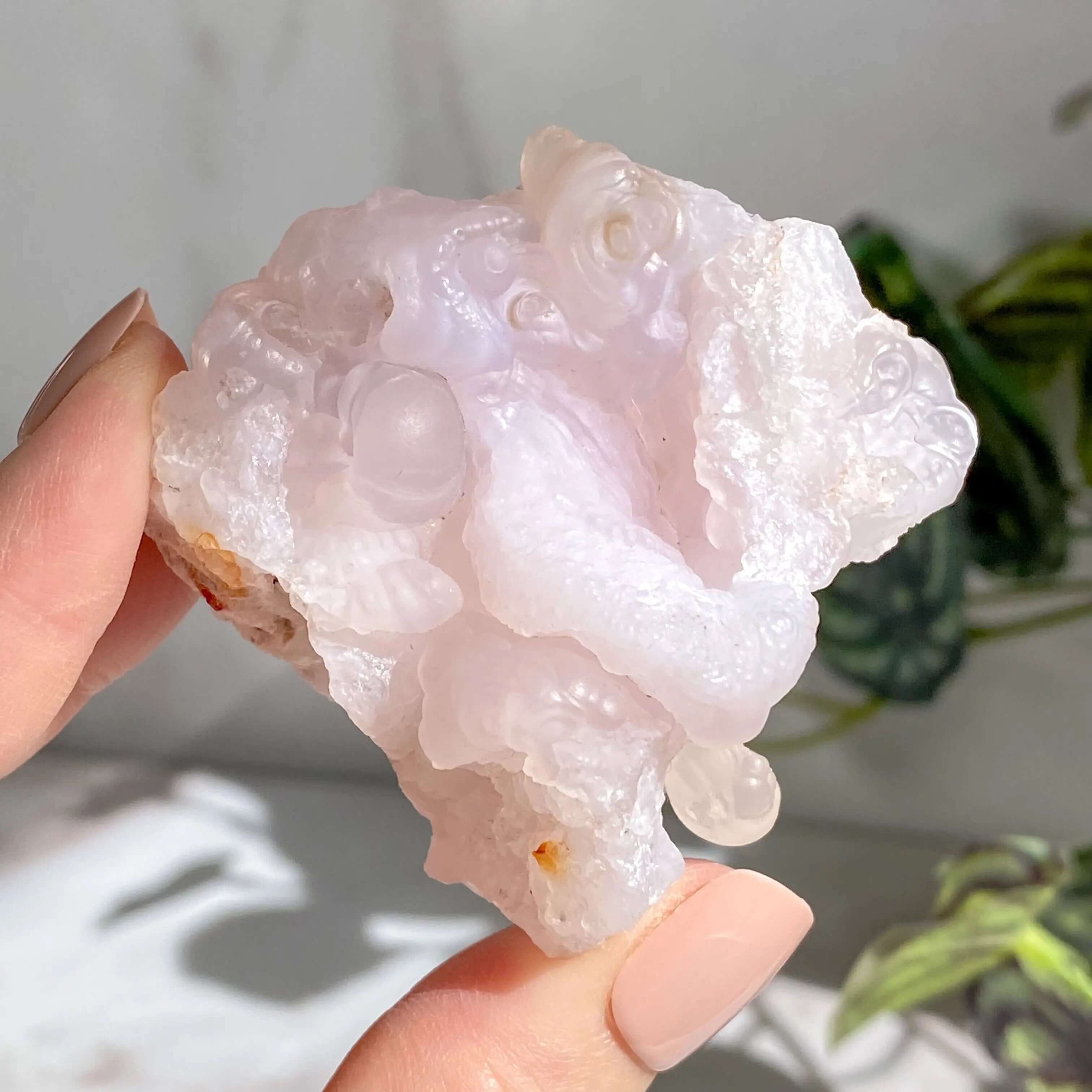 Pink Chalcedony Rose with Druzy Pocket | Stock D Mooncat Crystals