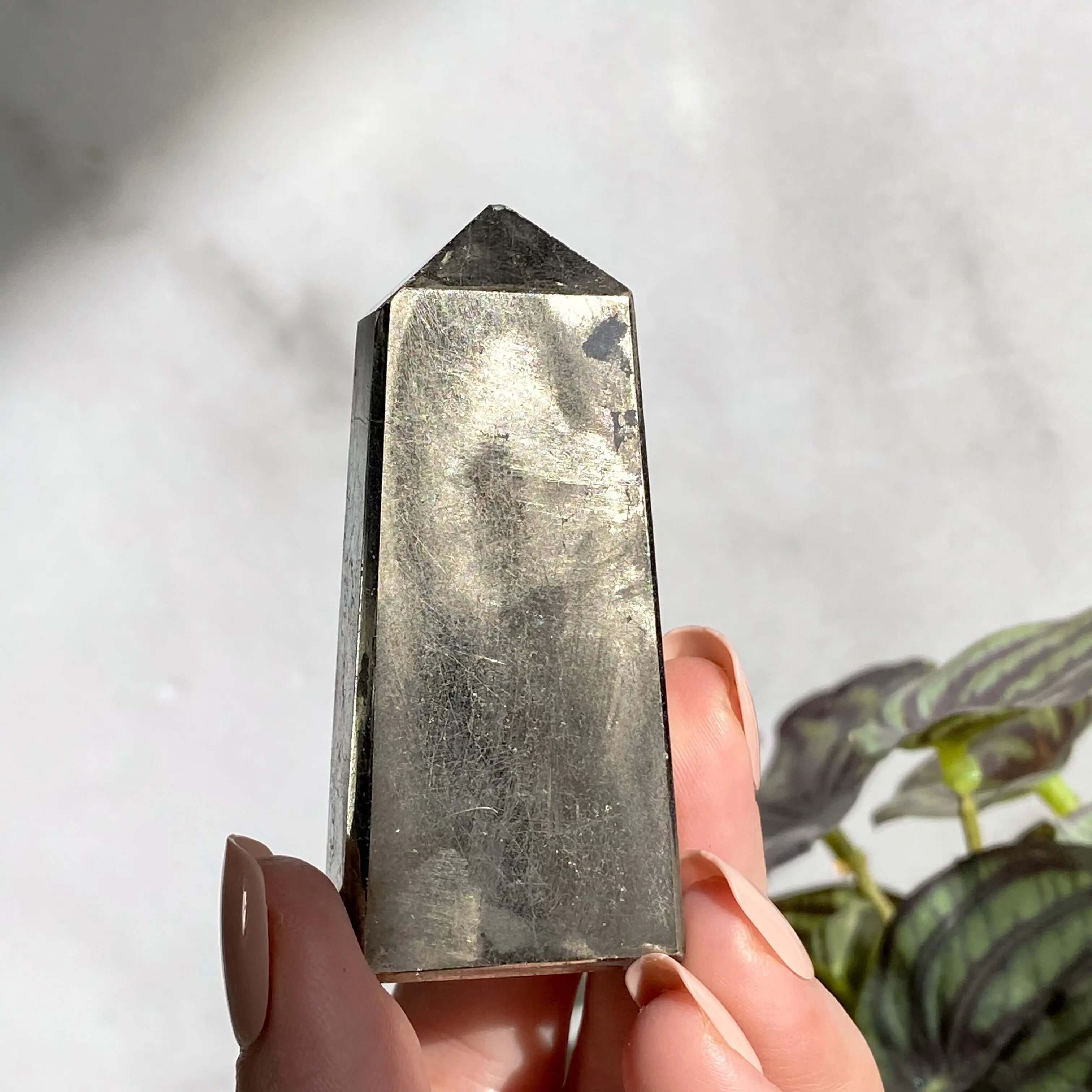 Pyrite Gem | Stock Z Mooncat Crystals