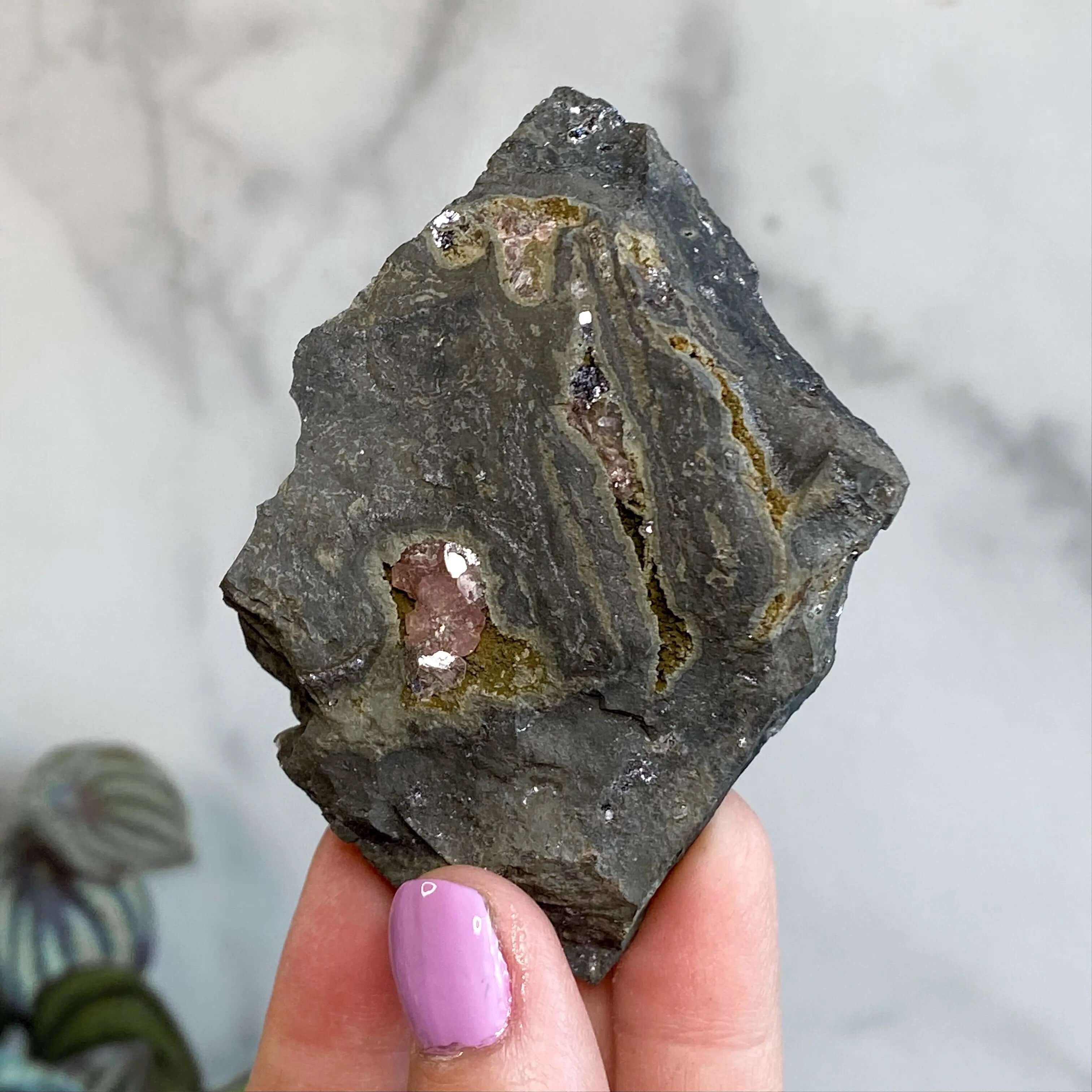 RARE Rhodocrosite in Matrix Specimen | Stock A Mooncat Crystals