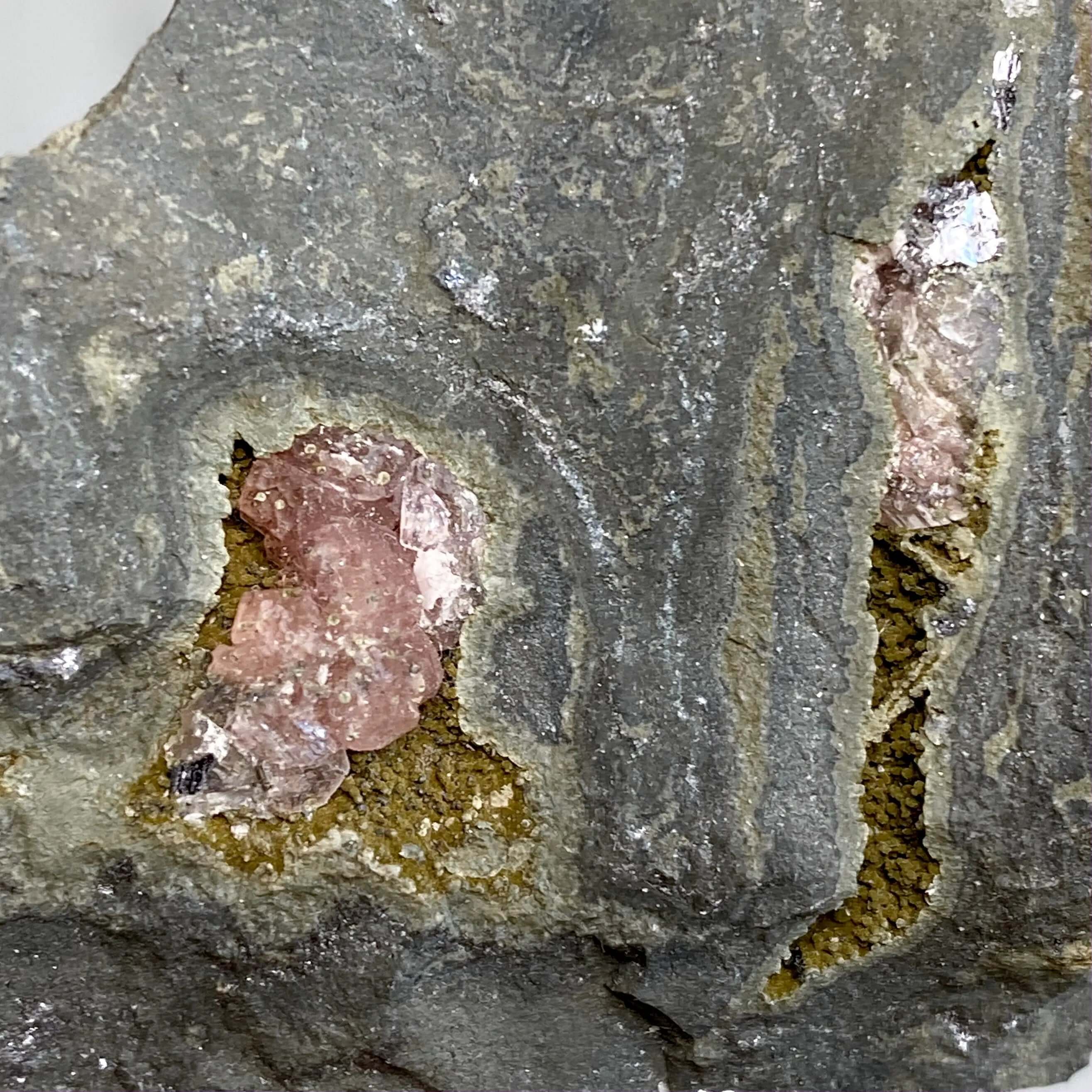 RARE Rhodocrosite in Matrix Specimen | Stock A Mooncat Crystals
