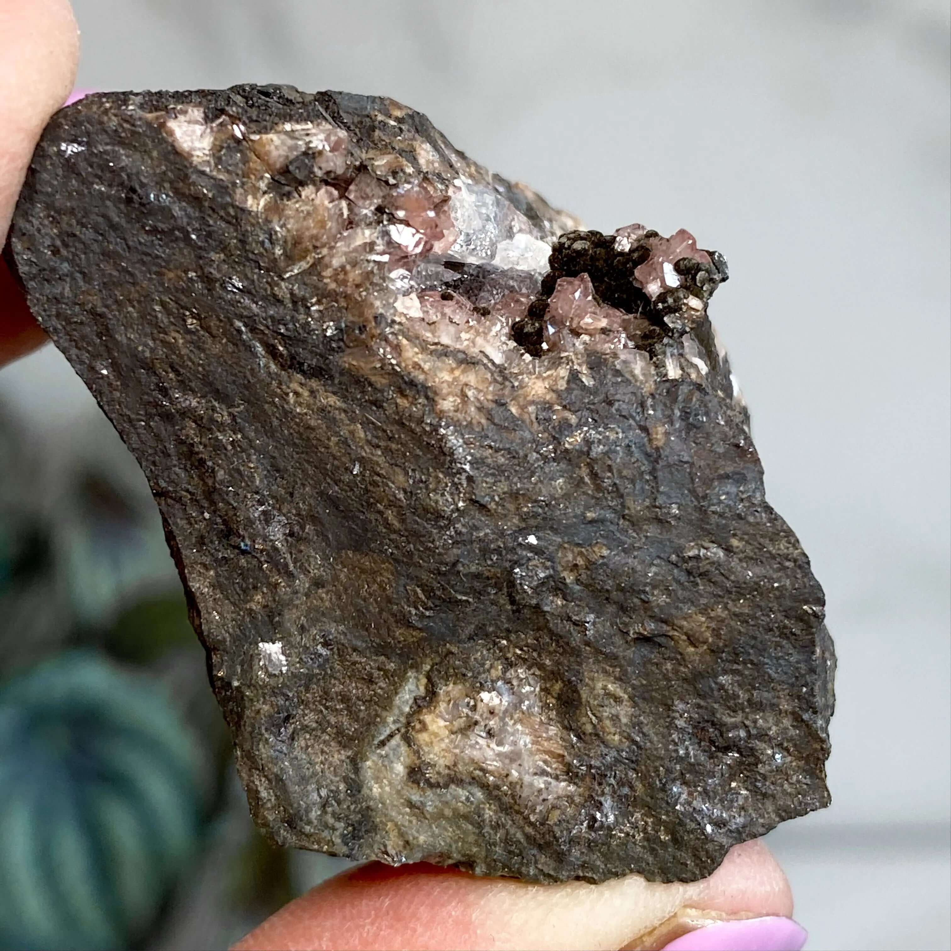 RARE Rhodocrosite in Matrix Specimen | Stock C Mooncat Crystals