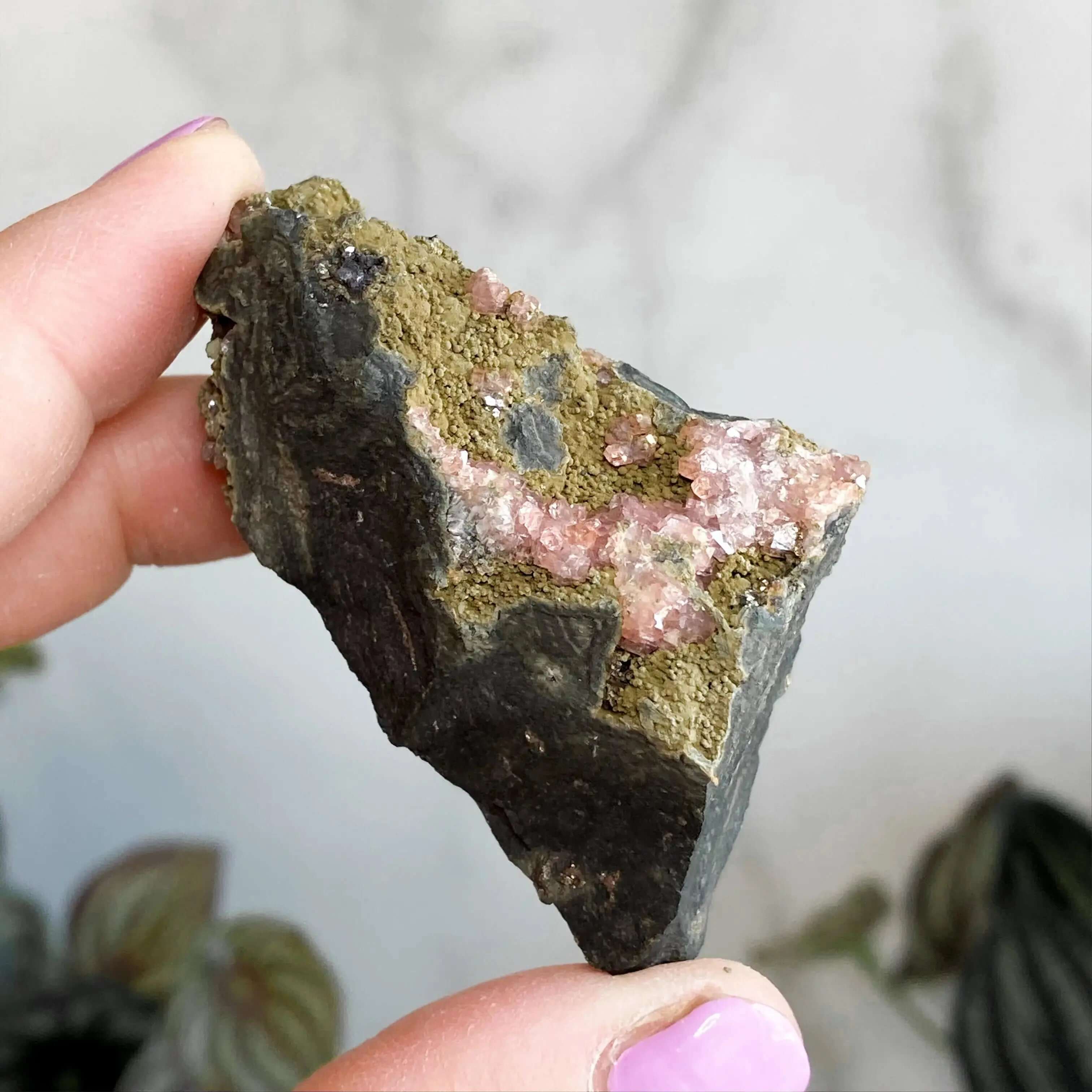 RARE Rhodocrosite in Matrix Specimen | Stock E Mooncat Crystals