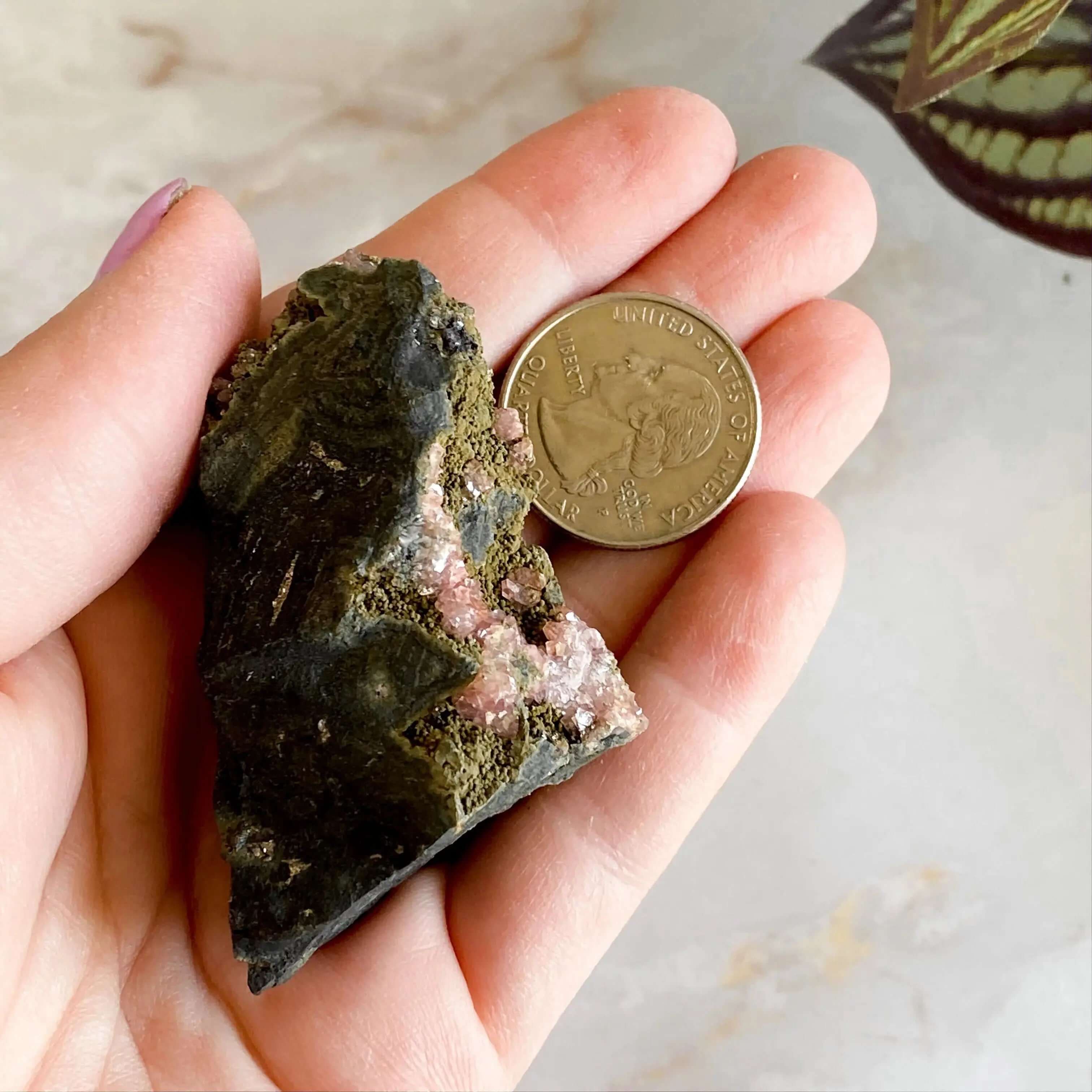 RARE Rhodocrosite in Matrix Specimen | Stock E Mooncat Crystals