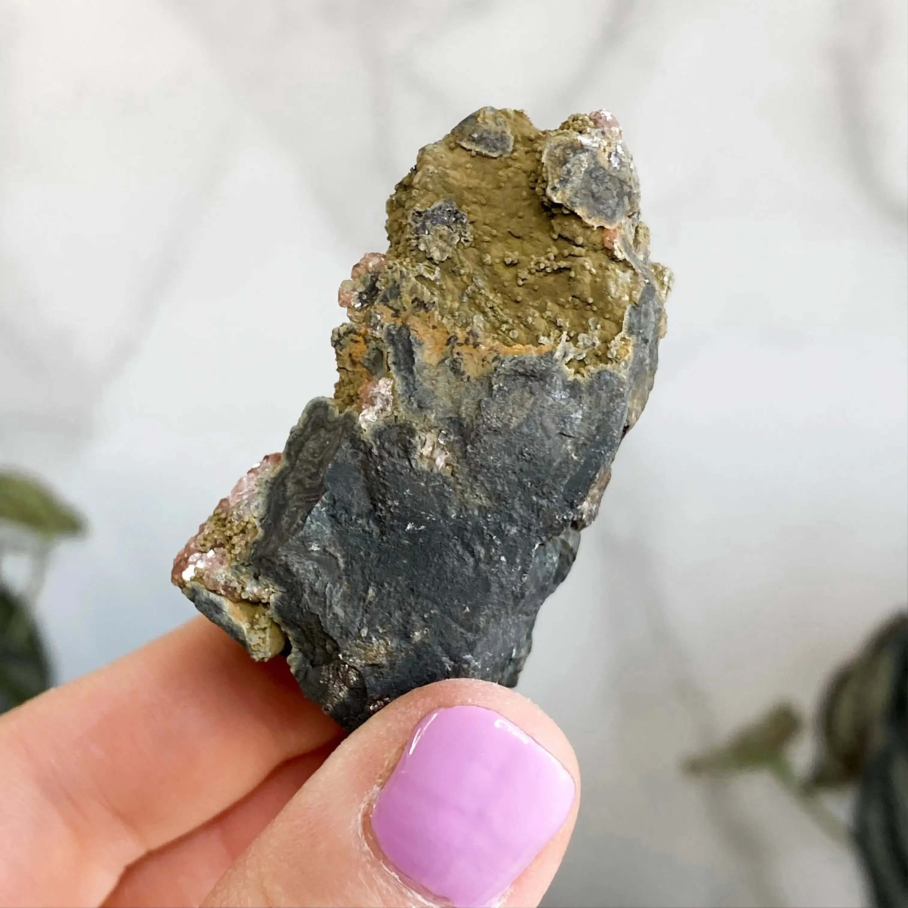 RARE Rhodocrosite in Matrix Specimen | Stock E Mooncat Crystals