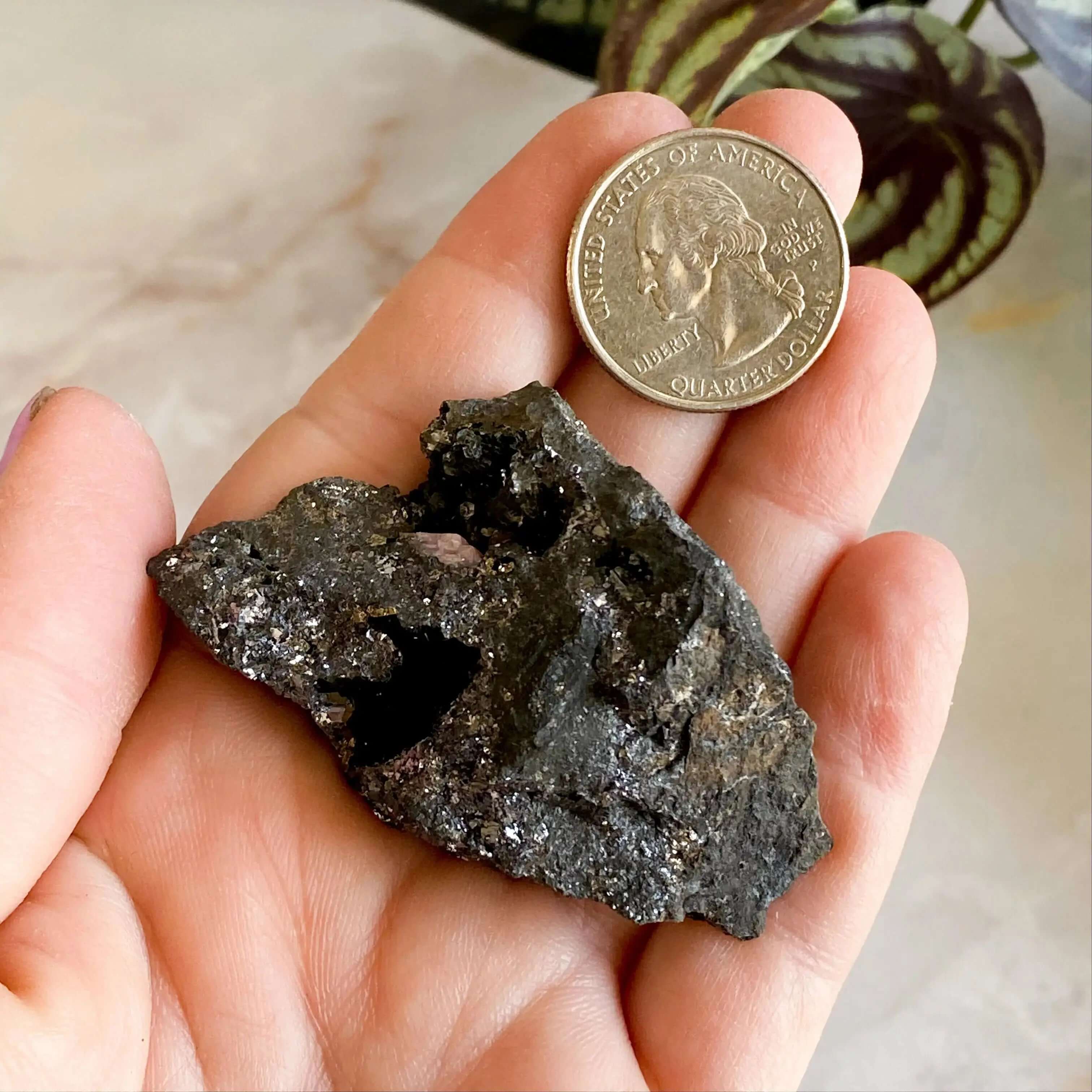 RARE Rhodocrosite in Matrix Specimen | Stock I Mooncat Crystals
