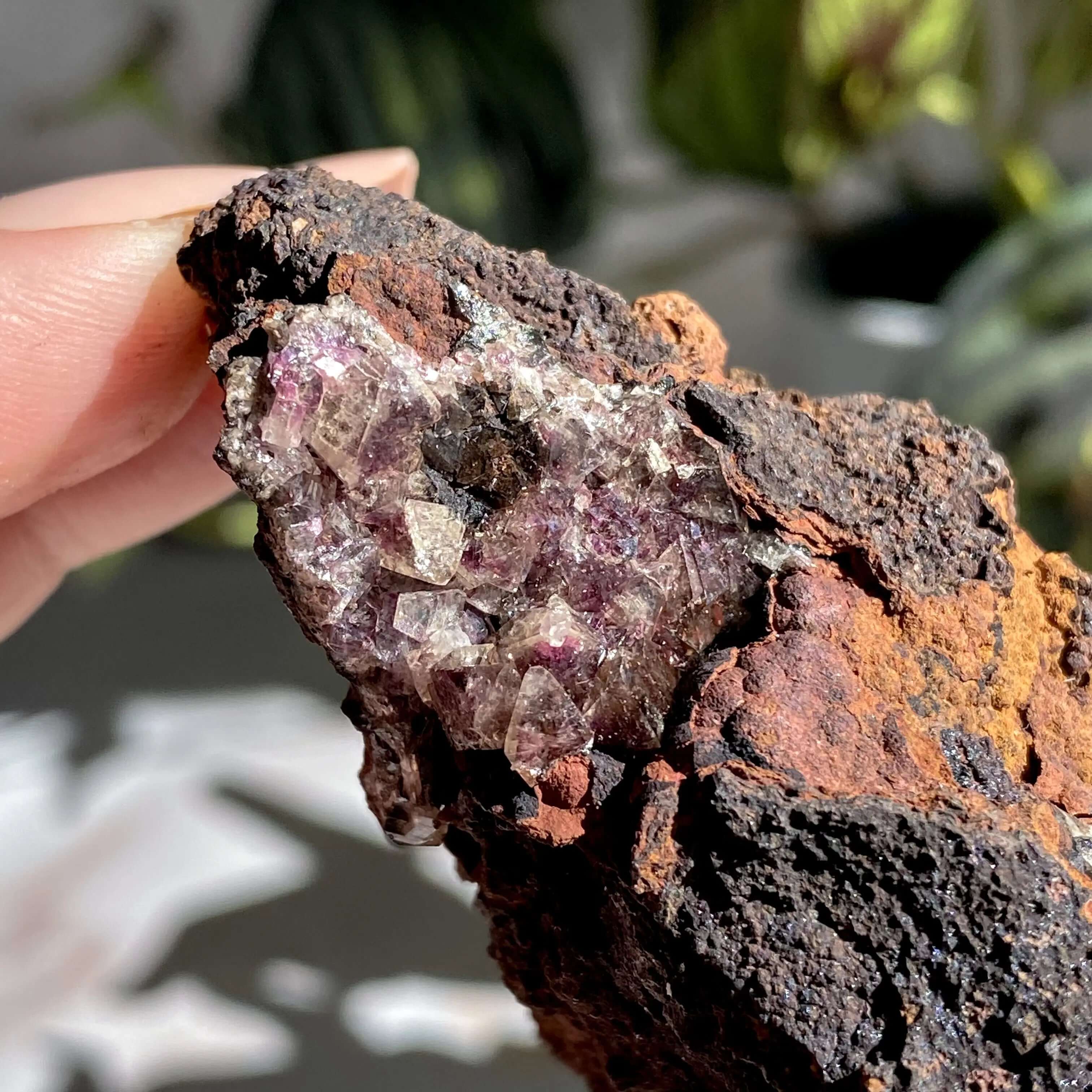 Rare Purple Adamite | Stock B Mooncat Crystals