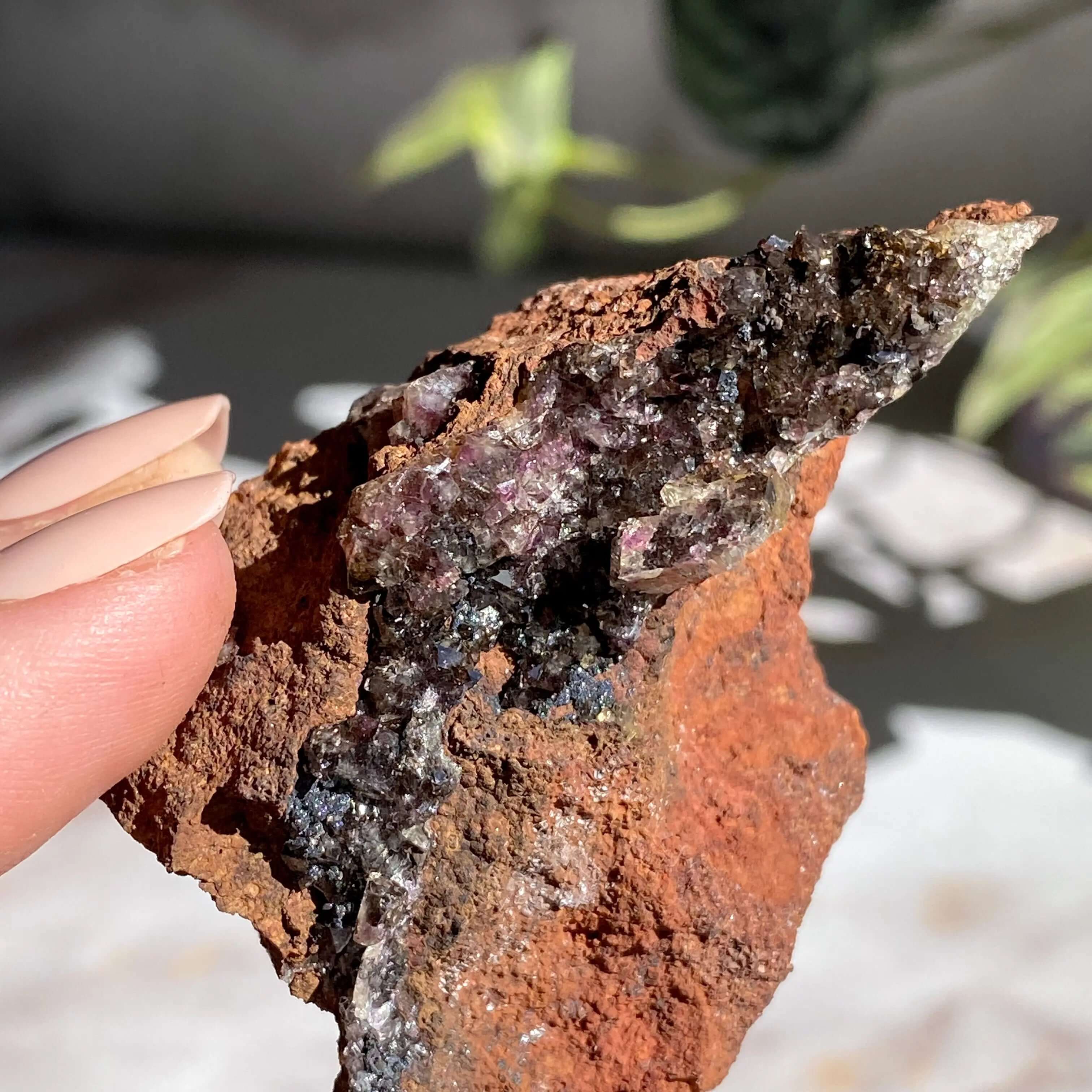 Rare Purple Adamite | Stock C Mooncat Crystals
