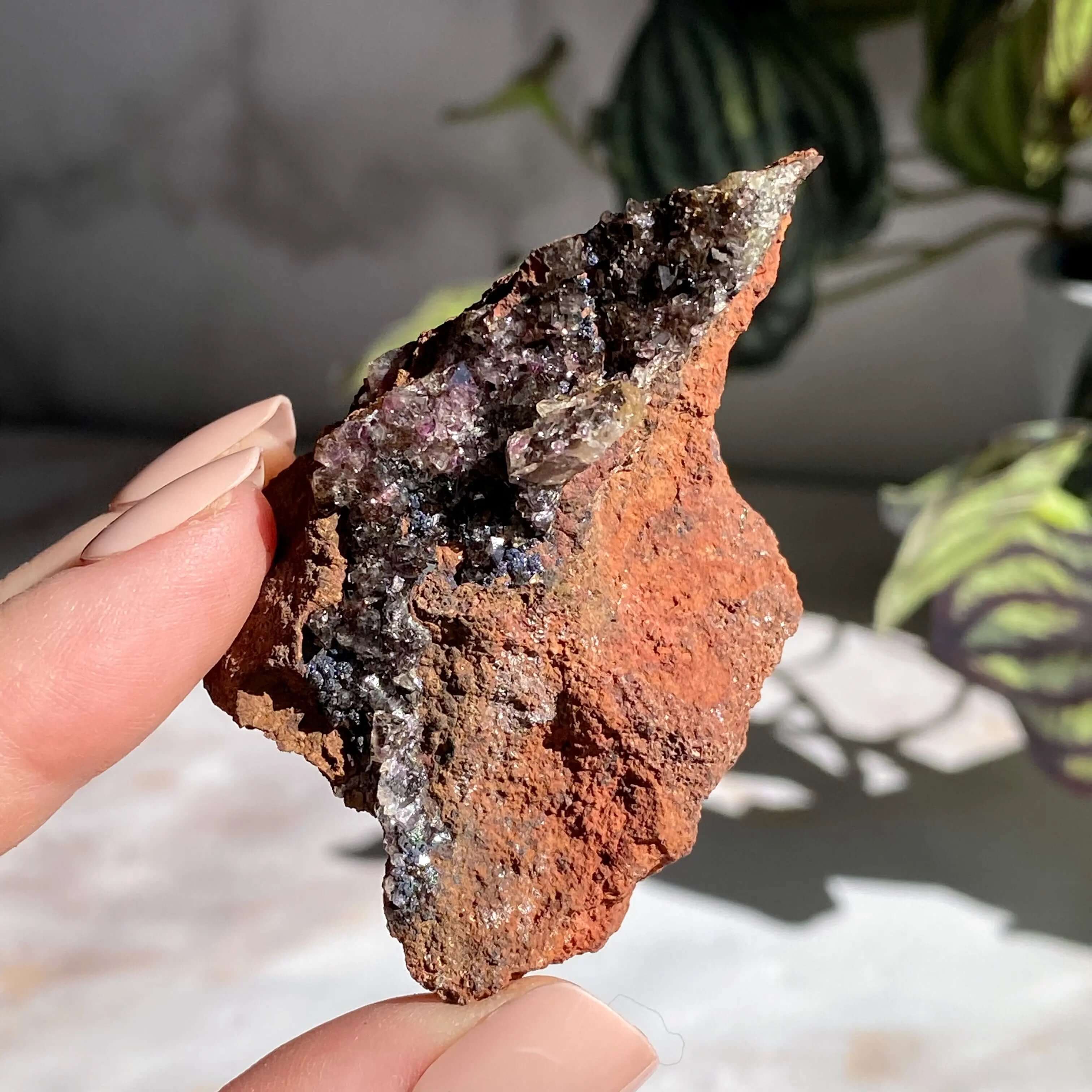 Rare Purple Adamite | Stock C Mooncat Crystals