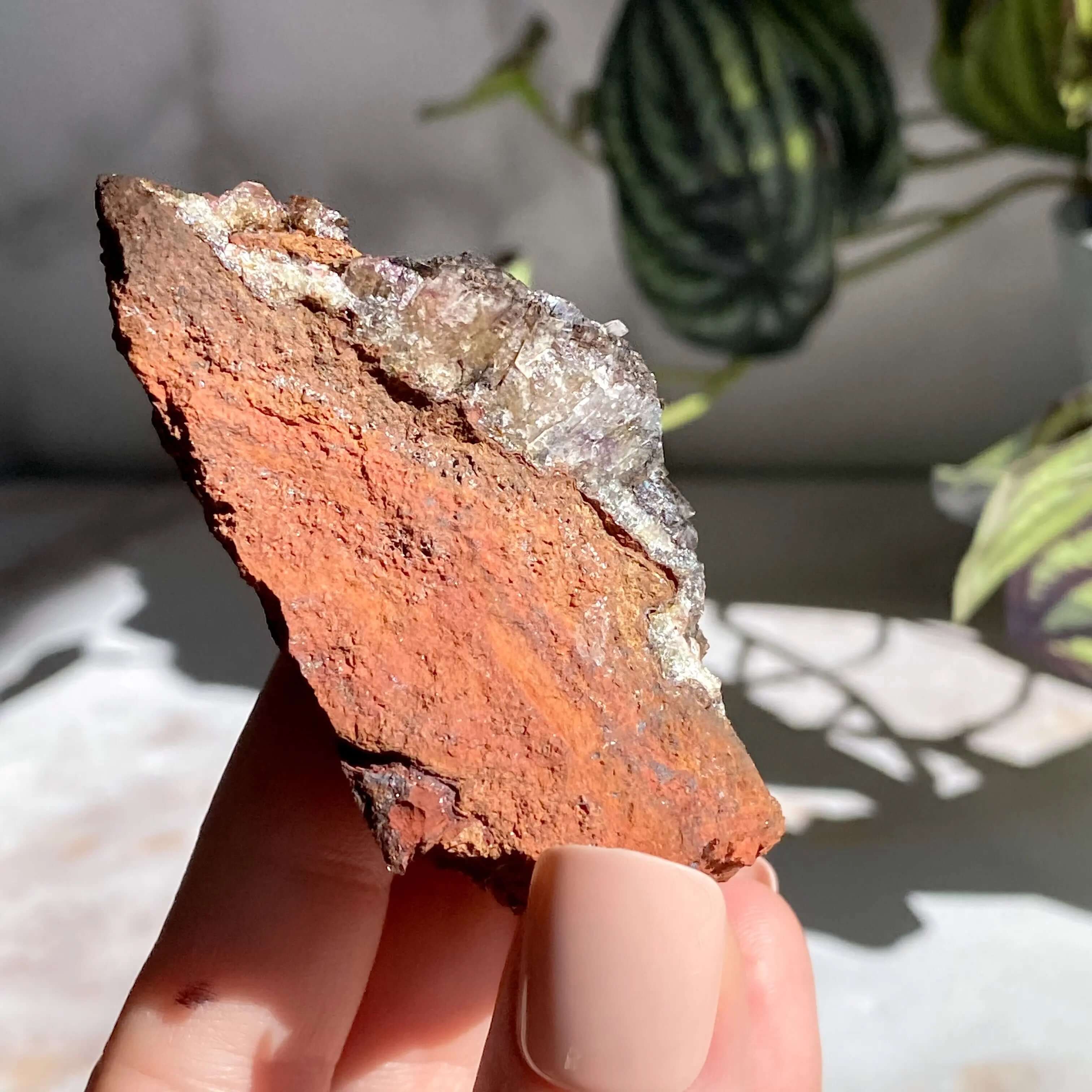 Rare Purple Adamite | Stock D Mooncat Crystals