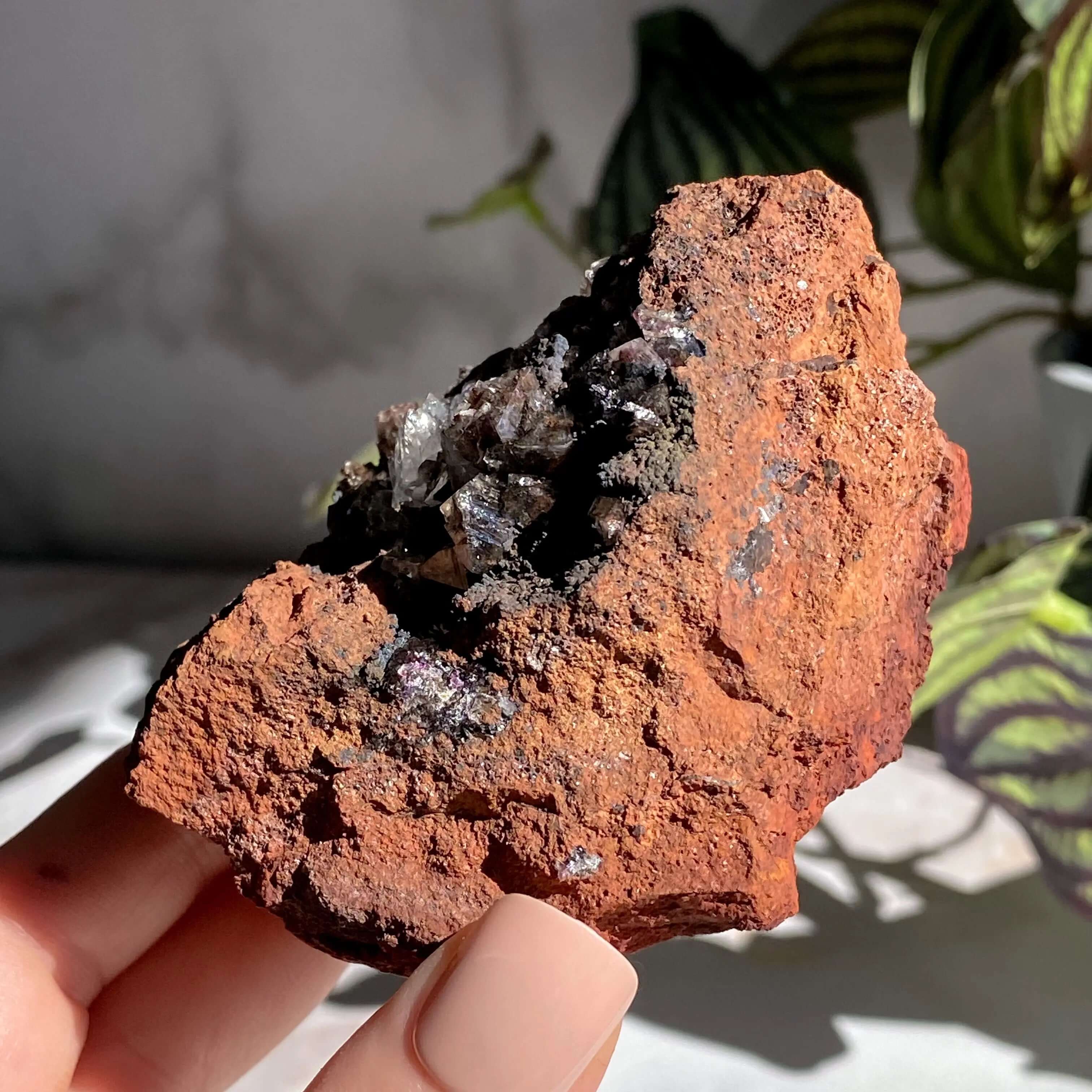 Rare Purple Adamite | Stock E Mooncat Crystals