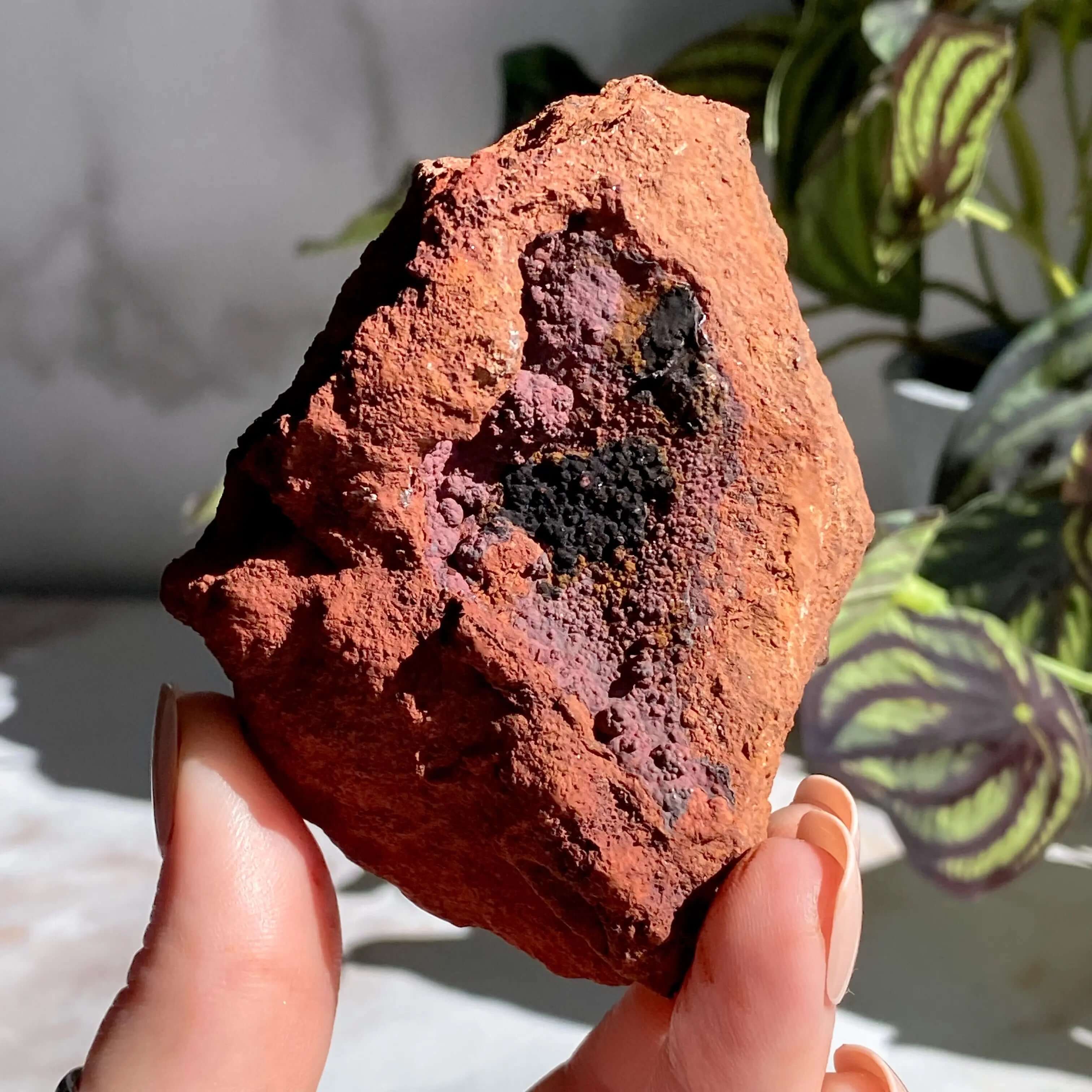 Rare Purple Adamite | Stock E Mooncat Crystals