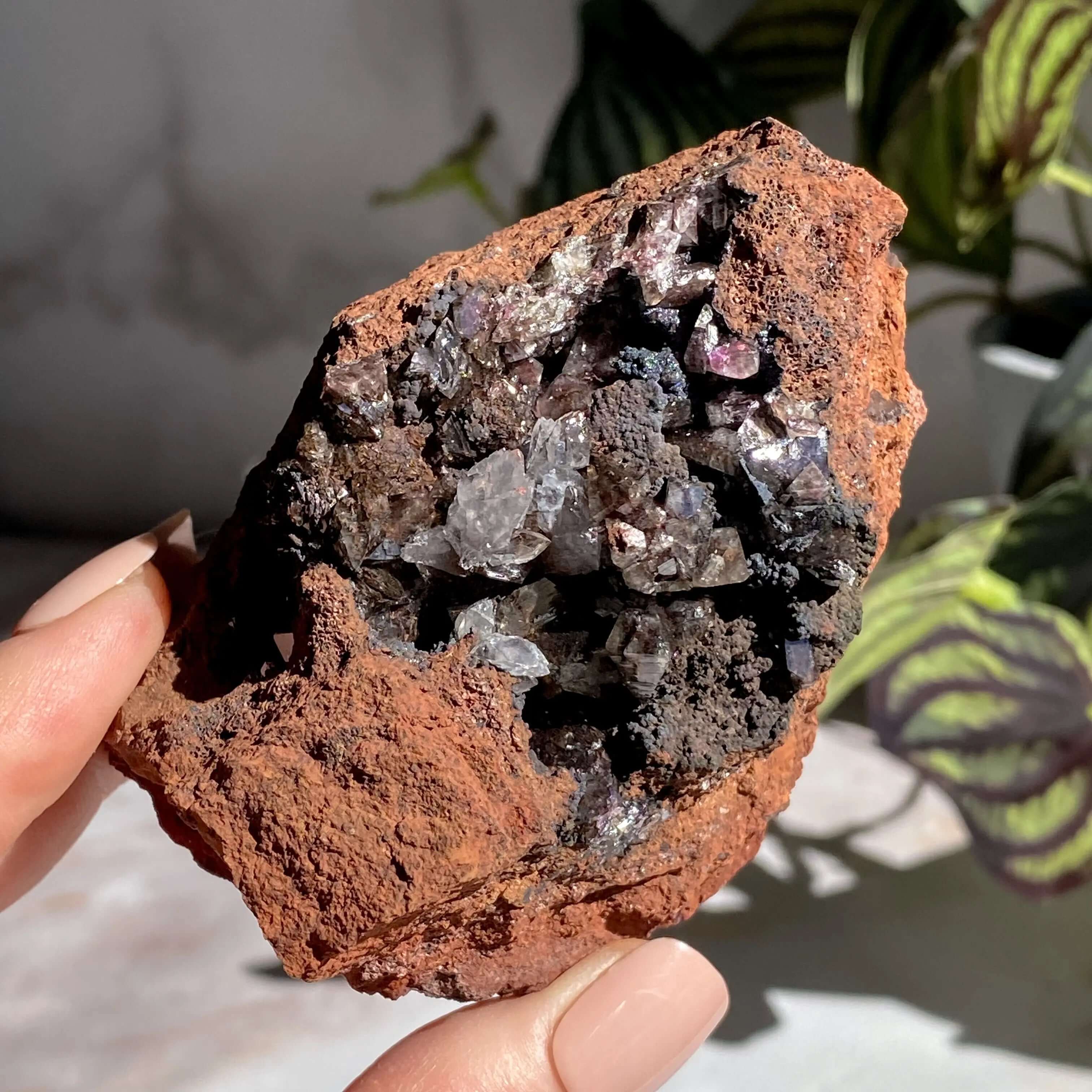 Rare Purple Adamite | Stock E Mooncat Crystals