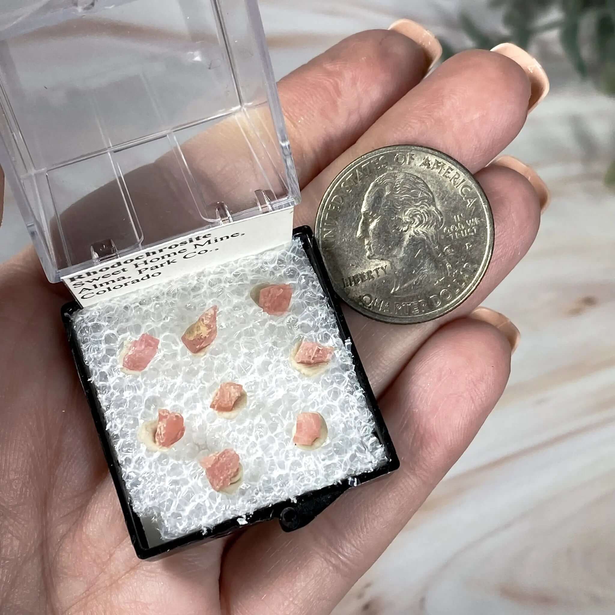 Rhodonite Thumbnails | Sweet Home Mine Mooncat Crystals