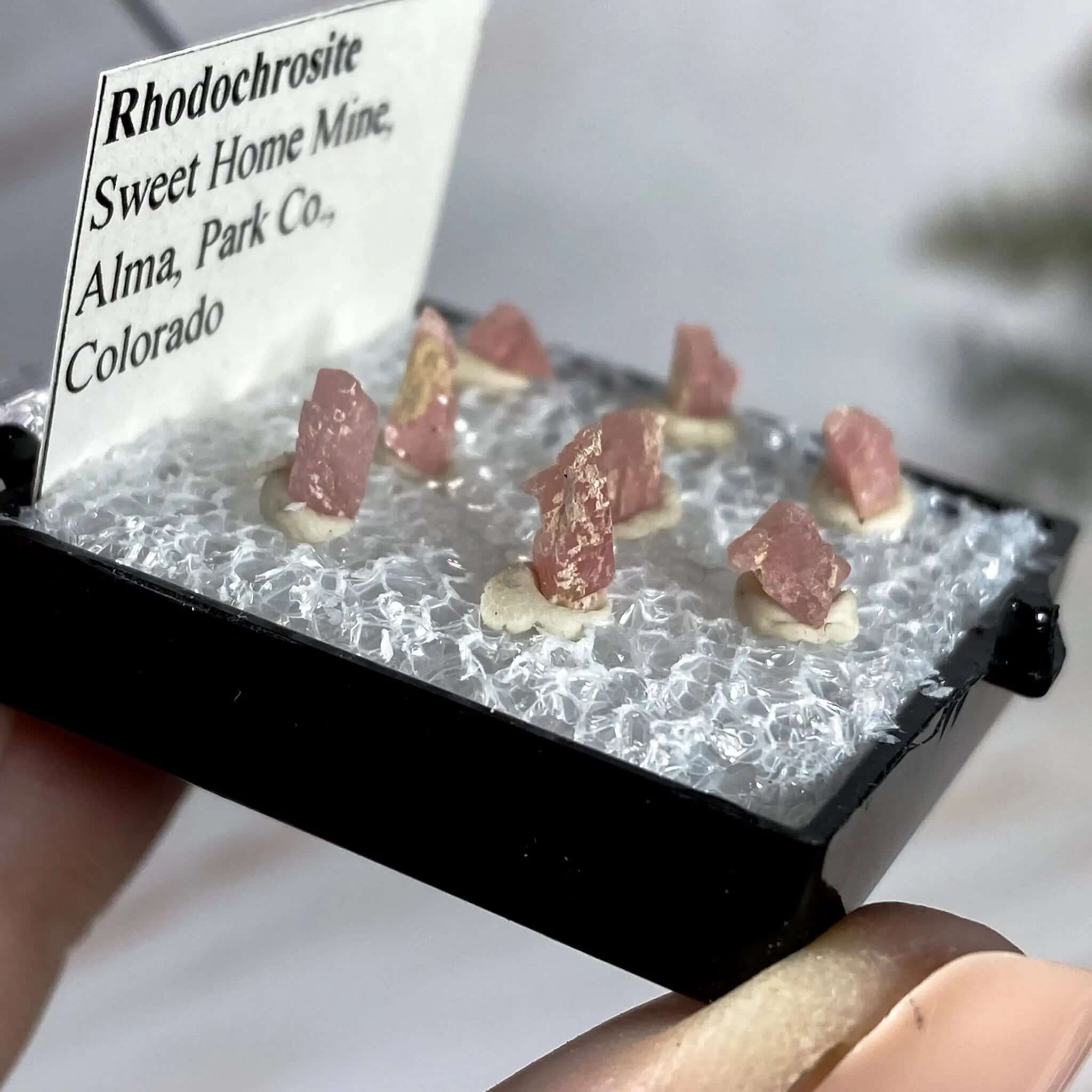 Rhodonite Thumbnails | Sweet Home Mine Mooncat Crystals