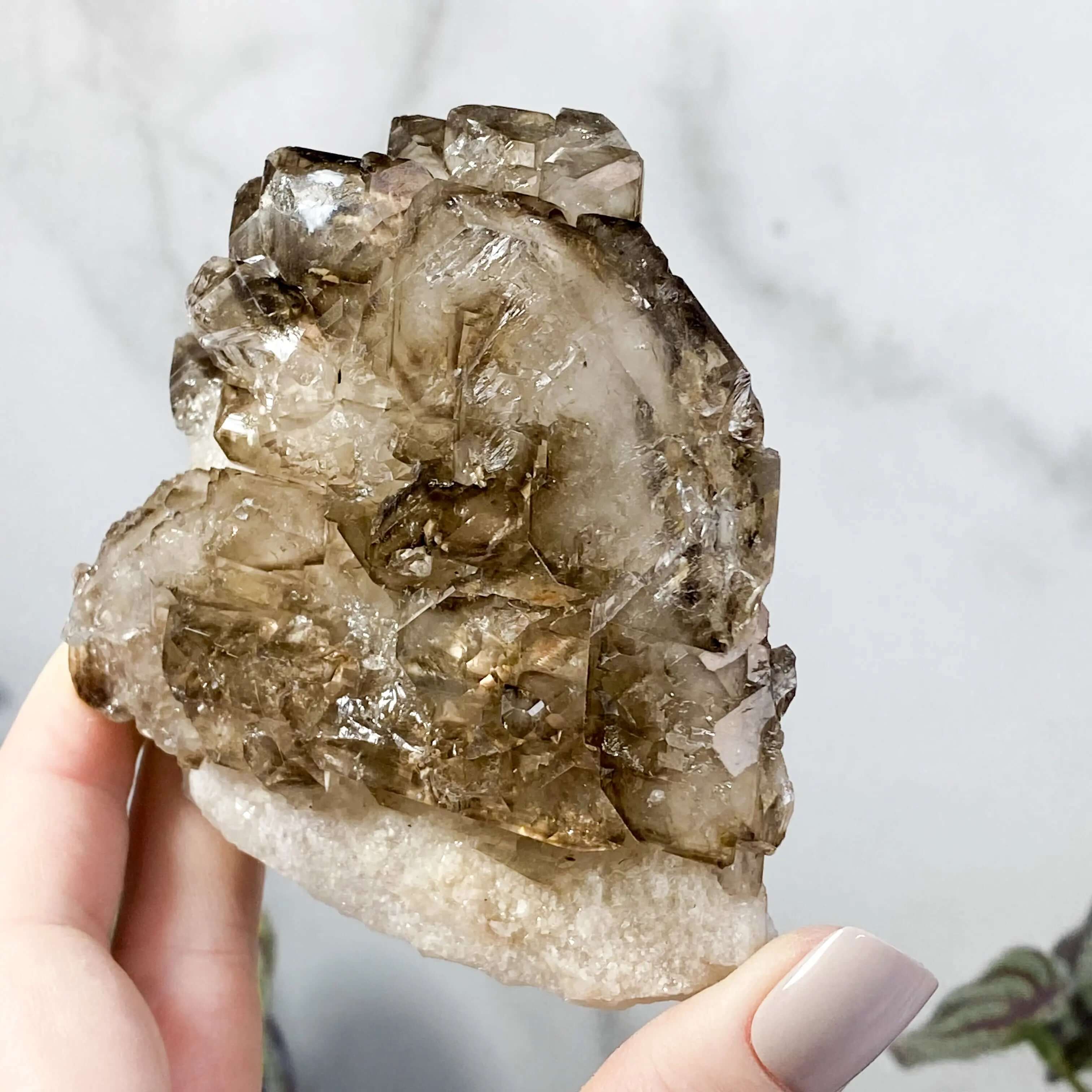 Self Healed Terminated Smoky Elestial Quartz | Stock H Mooncat Crystals
