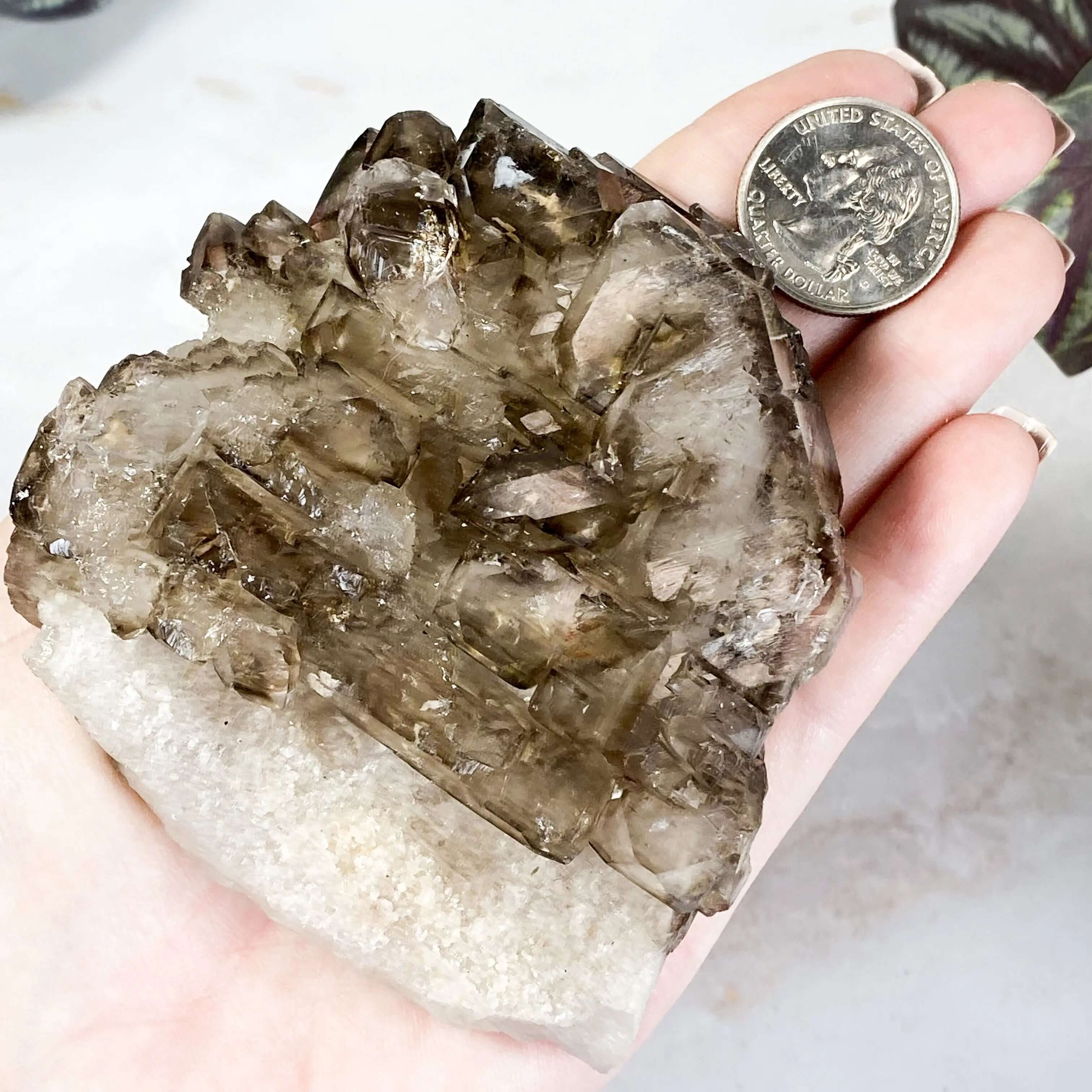 Self Healed Terminated Smoky Elestial Quartz | Stock H Mooncat Crystals