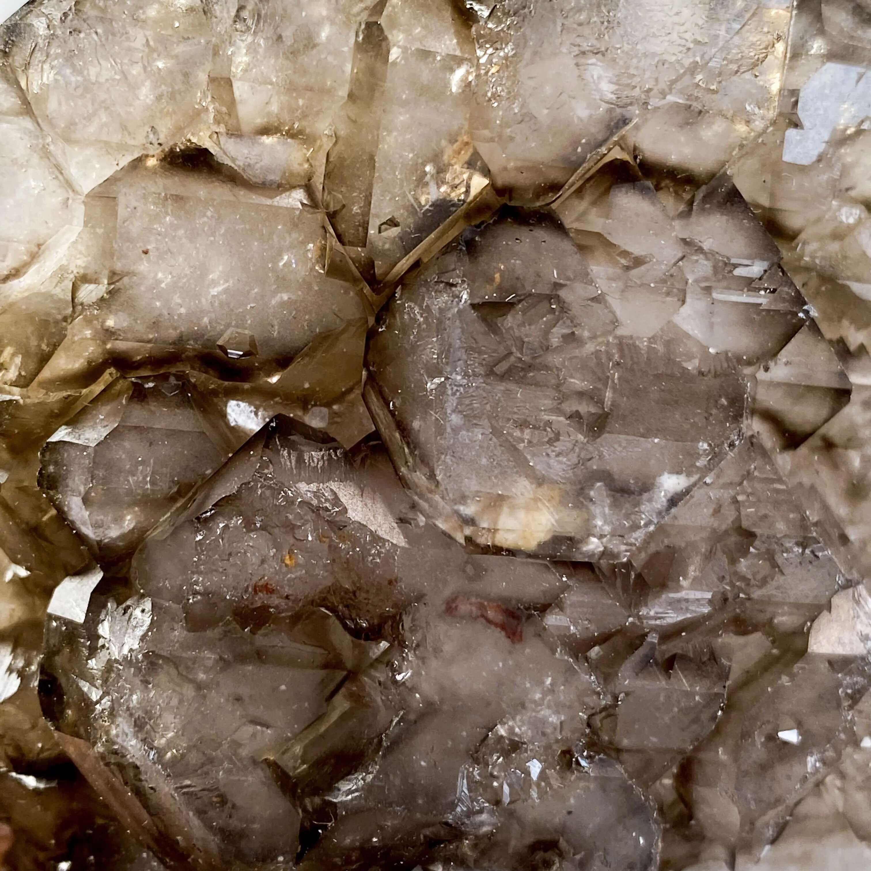Self Healed Terminated Smoky Elestial Quartz | Stock H Mooncat Crystals