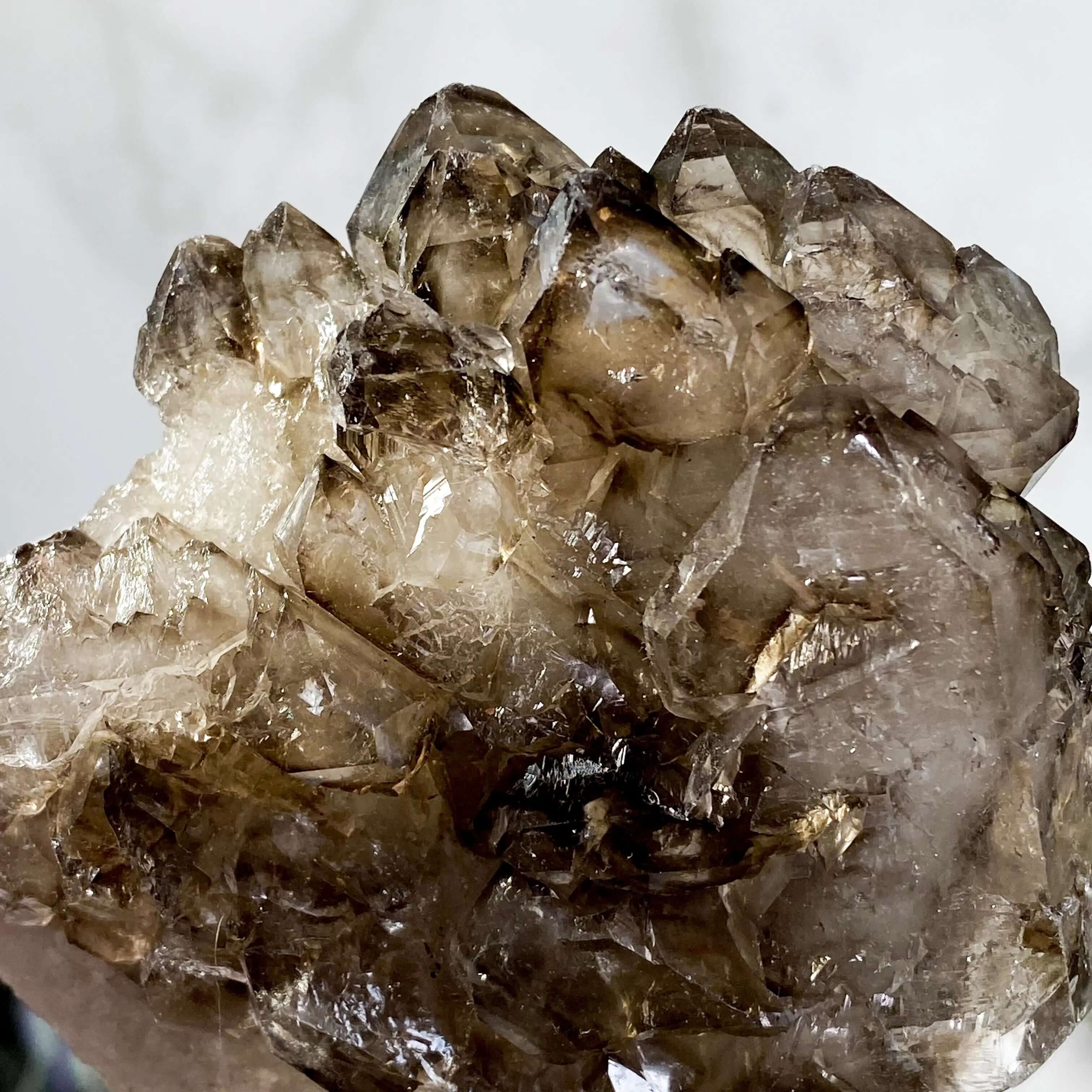 Self Healed Terminated Smoky Elestial Quartz | Stock H Mooncat Crystals