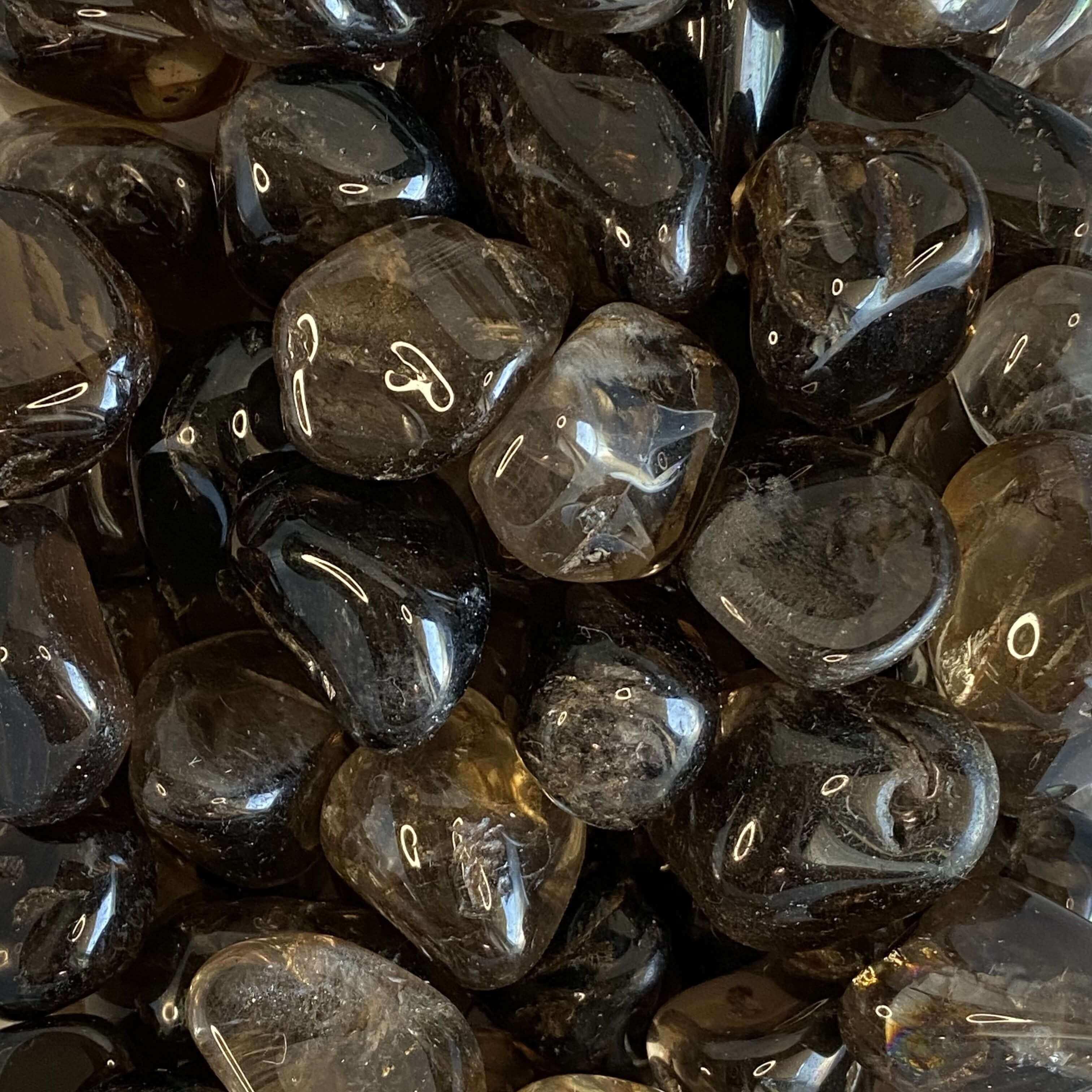 Smoky Quartz Tumbles | Medium - Set of 2 - Mooncat Crystals