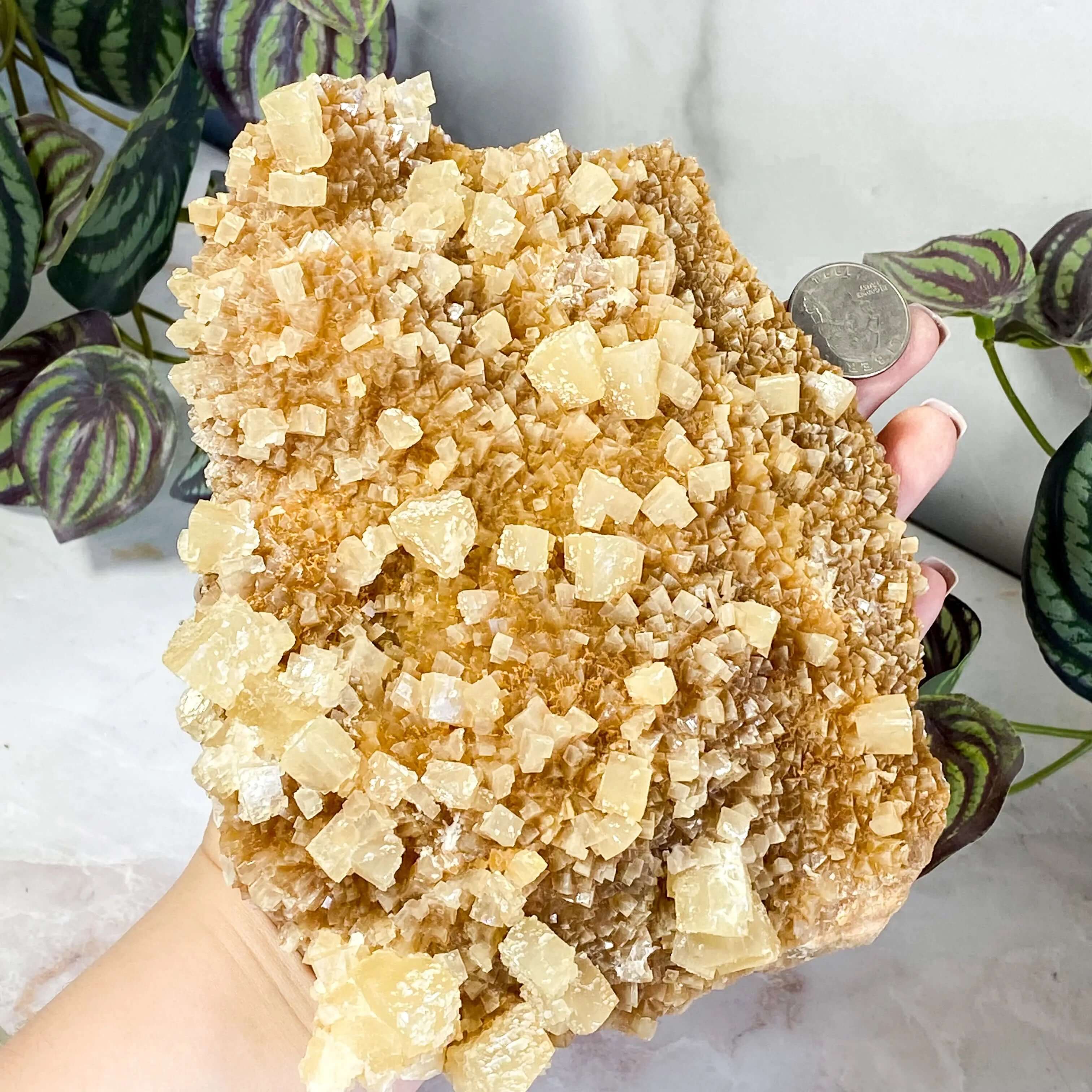 South Dakota Calcite | Stock B Mooncat Crystals