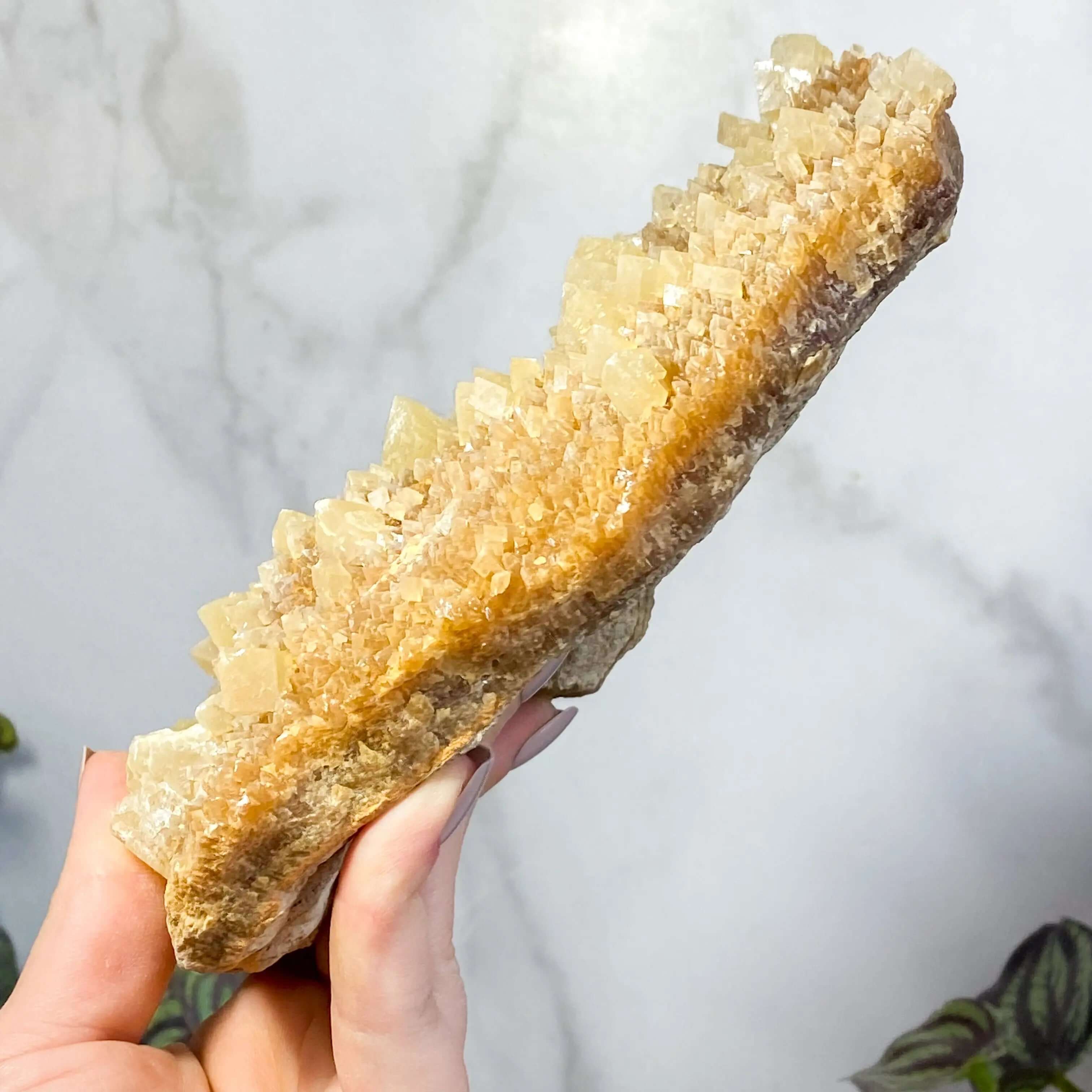 South Dakota Calcite | Stock B Mooncat Crystals