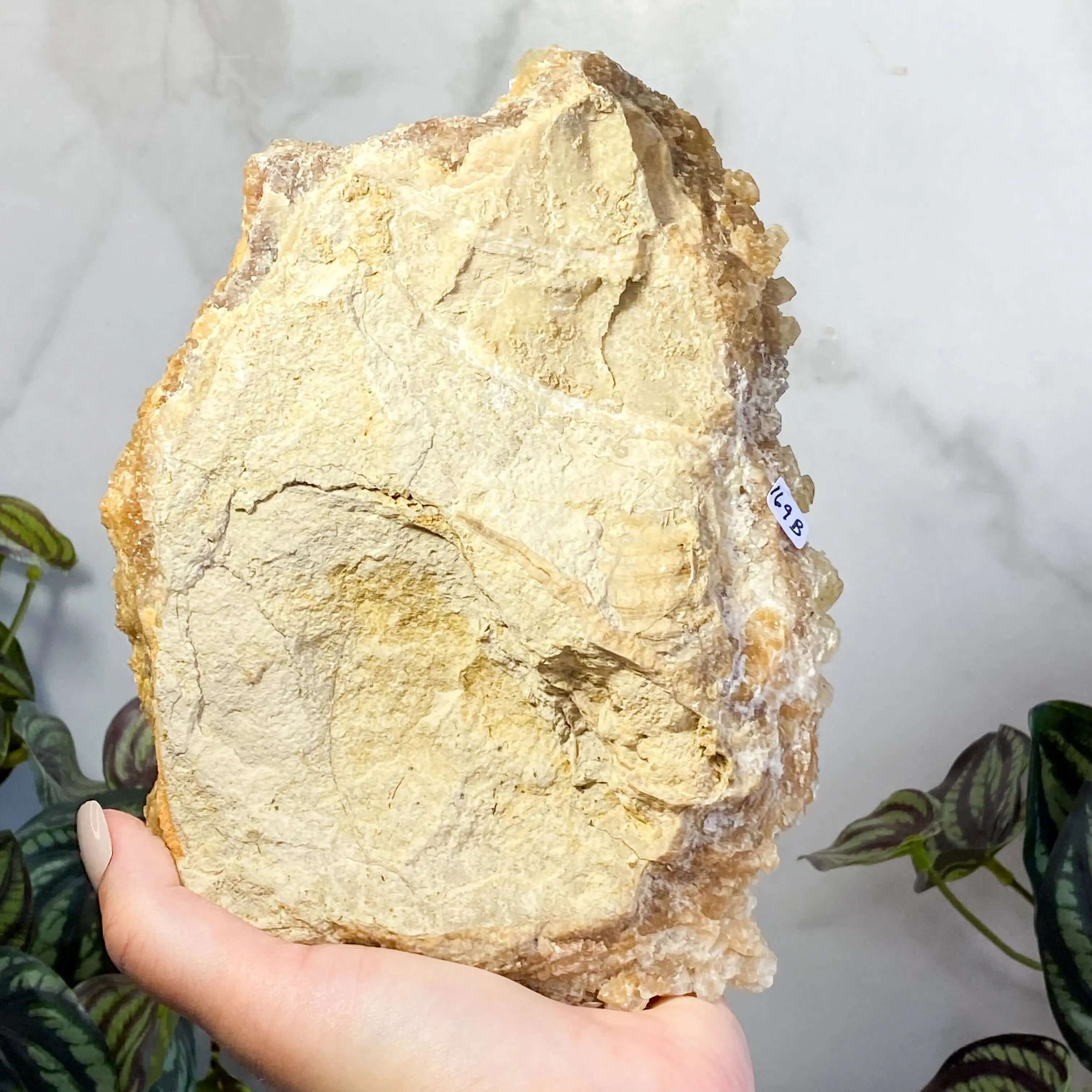 South Dakota Calcite | Stock B Mooncat Crystals
