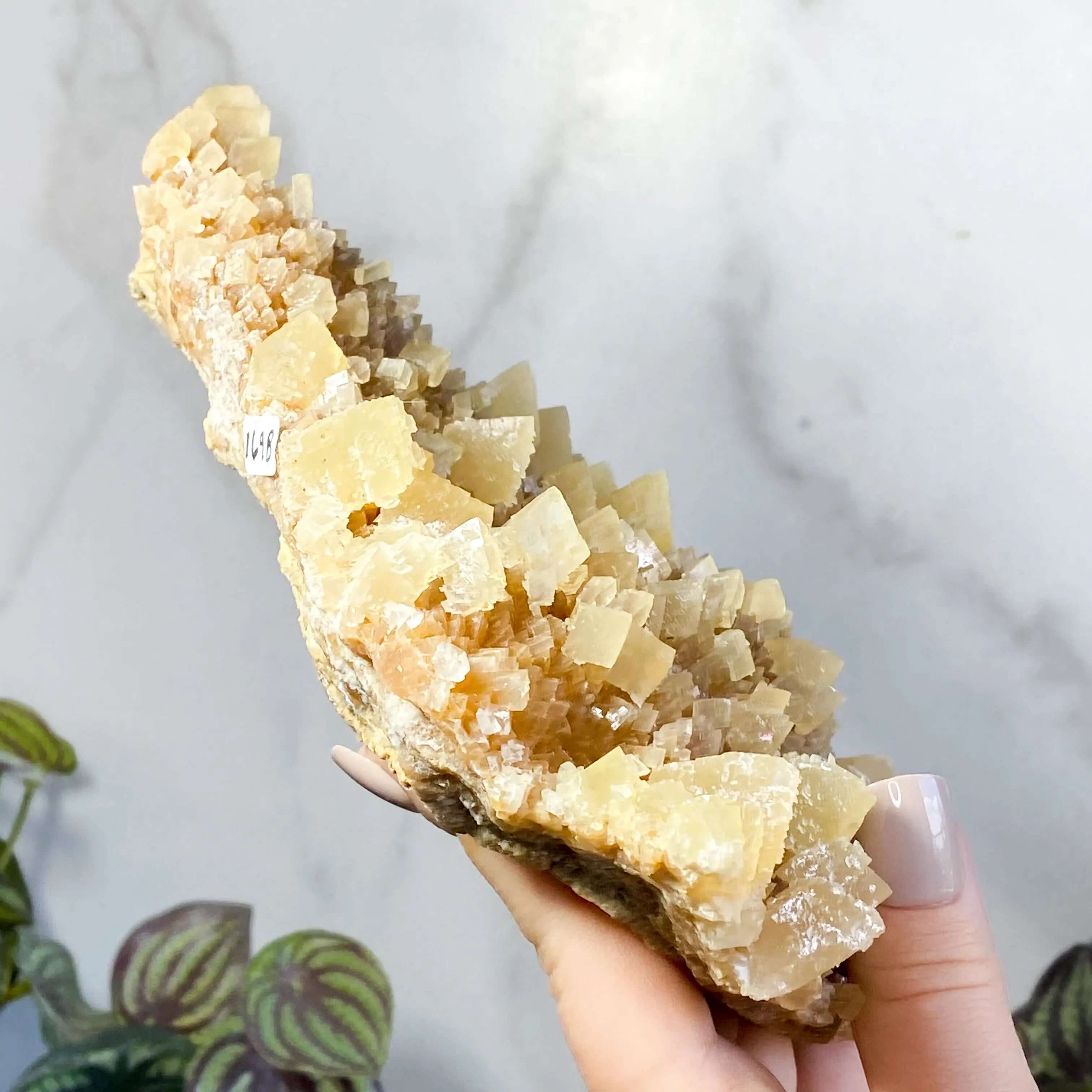South Dakota Calcite | Stock B Mooncat Crystals